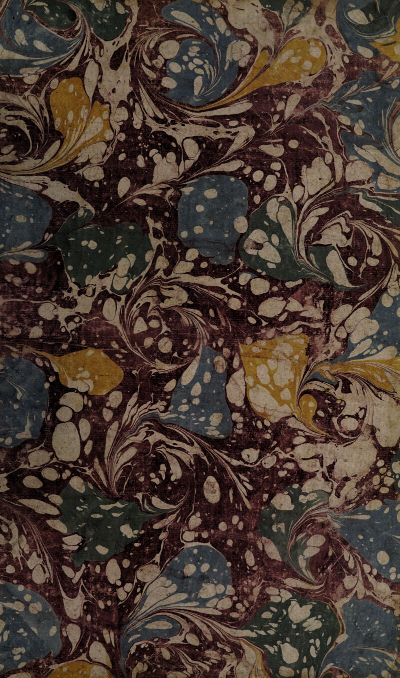 Bk&ISY . SpifàfLi:r/t- ' *.\ ,».' *.^>v j &y Ic^^pr j]jjrvSf1 { ^ :4^-i 'Æt =°g^: «T ’ .1