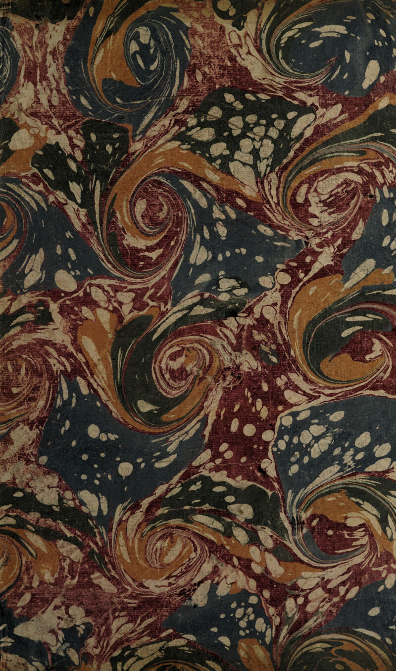 >Y 1/ i Tça ''tf 1LJ y& wms