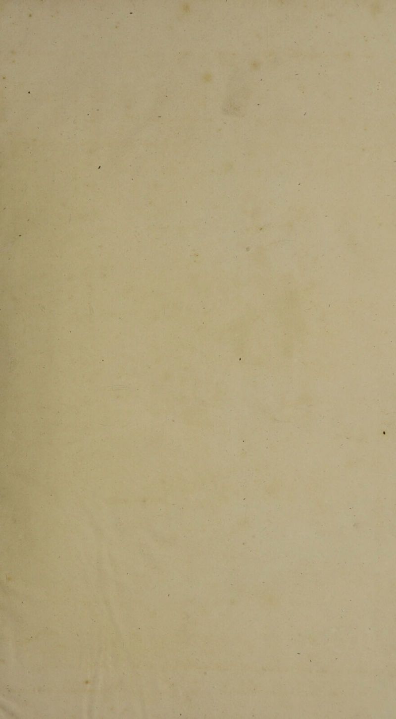 . • - 4 ' * . . J \ > \ t