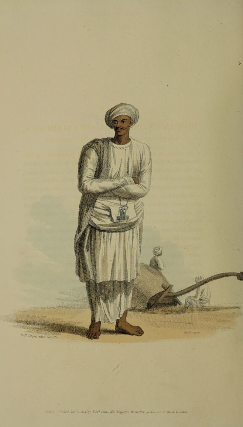 ✓ Ed\yJ ûmie.I/ù Majesty PrintseUa:New /i <nJ . London