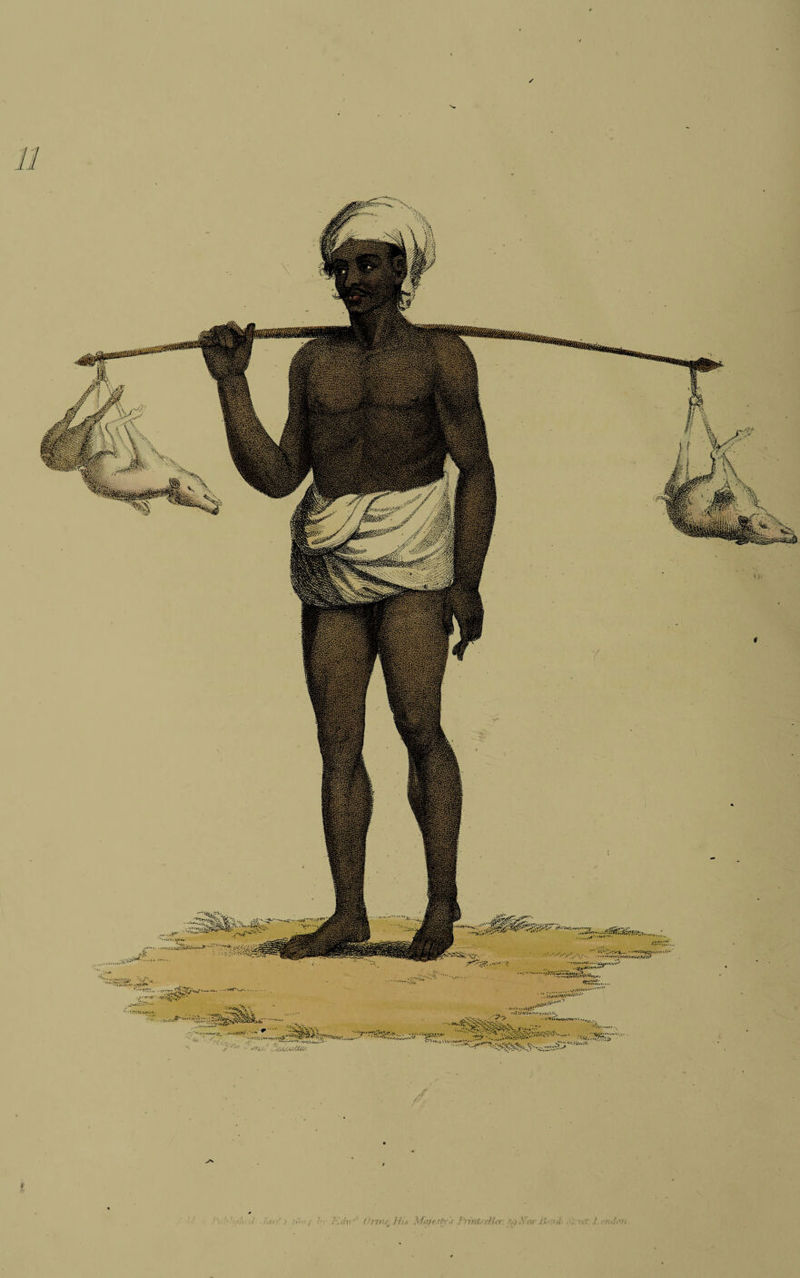 / • JiJi / '/ ■/ •' 7-.//1- dnnC'.Hi-) Afii^rsh's J'ntiUdh-r r„).YciyJJ-'jul