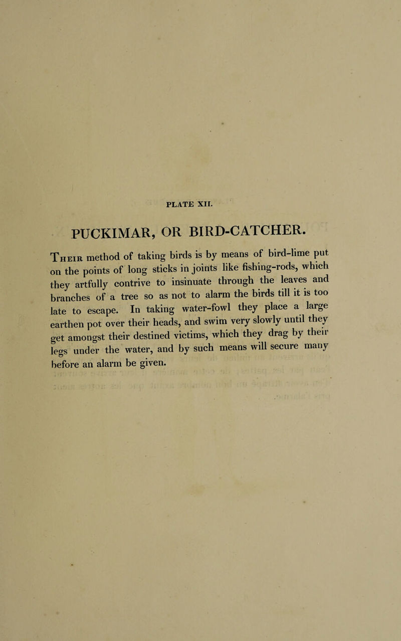 PUCKIMAR, OR BIRD-CATCHER. Their method of taking birds is by means of bird-lime put on the points of long sticks in joints like fishing-rods, which they artfully contrive to insinuate through the leaves and branches of a tree so as not to alarm the birds till it is too late to escape. In taking water-fowl they place a large earthen pot over their heads, and swim very slowly until they get amongst their destined victims, which they drag by theii le^s under the water, and by such means will secure many before an alarm be given.
