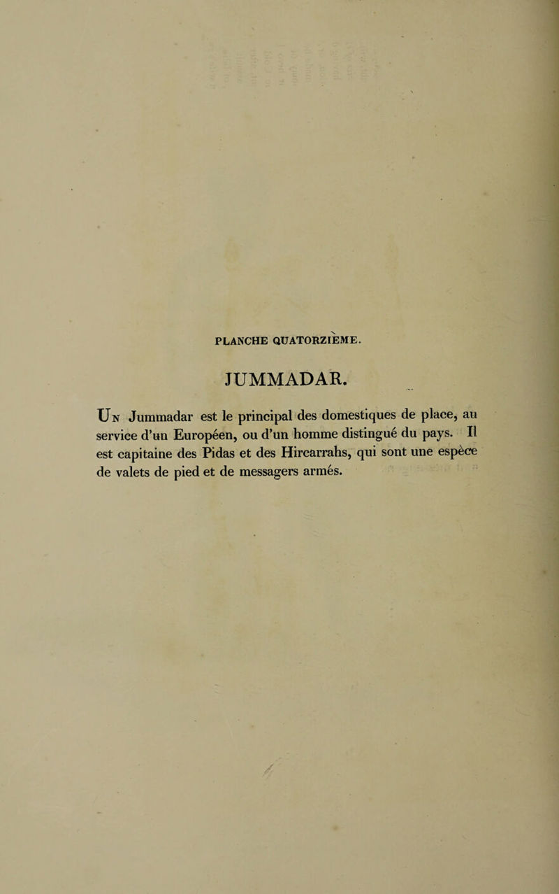 PLANCHE QUATORZIEME. JUMMADAR. Un Jummadar est le principal des domestiques de place, au service d’un Européen, ou d’un homme distingué du pays. Il est capitaine des Pidas et des Hircarrahs, qui sont une espèce de valets de pied et de messagers armés.