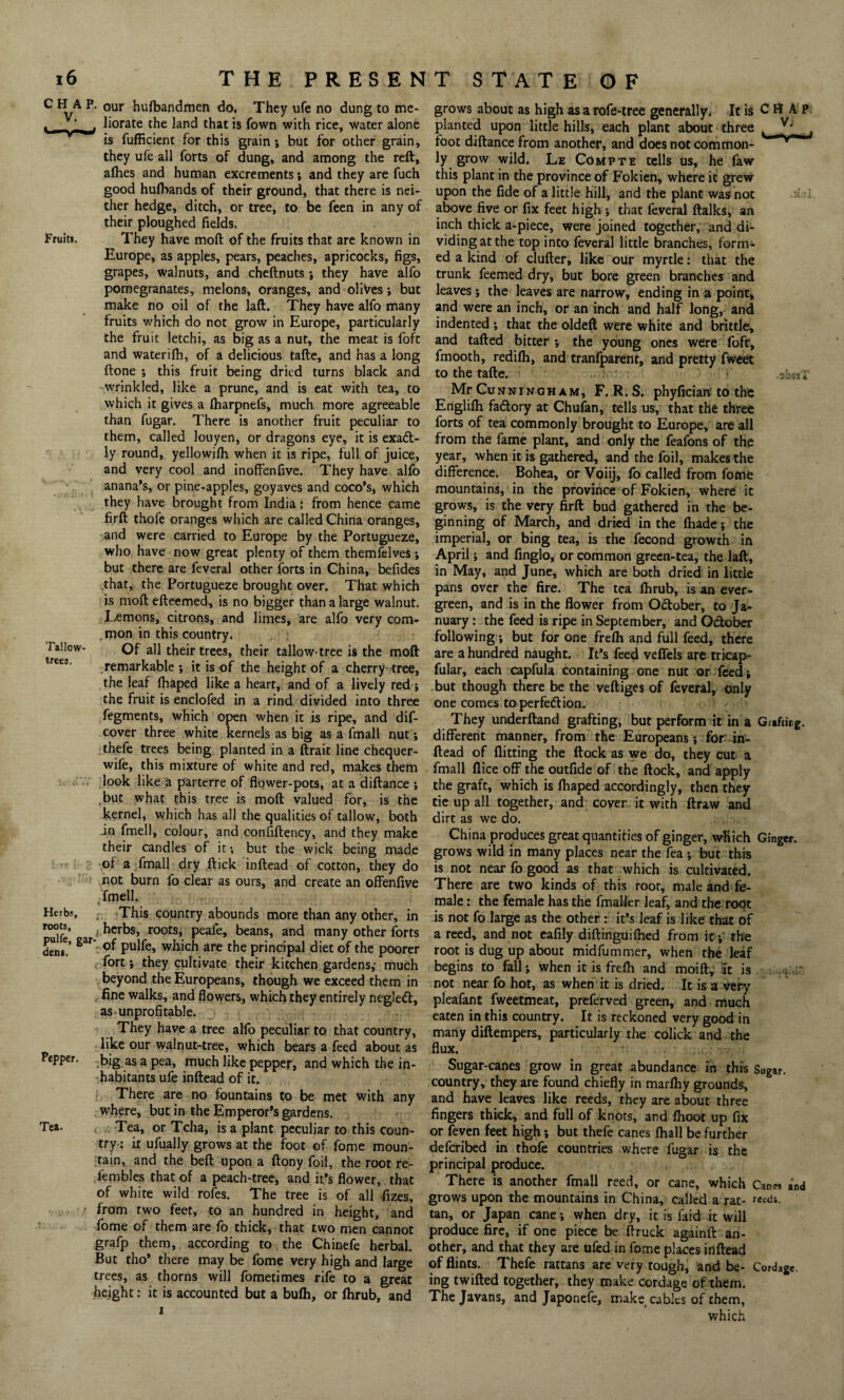 Fruits. Tailow* trees. C HA P. our hufbandmen do. They ufe no dung to me¬ liorate the land that is fown with rice, water alone is fufficient for this grain ; but for other grain, they ufe all forts of dung, and among the reft, alhes and human excrements; and they are fuch good hufbands of their ground, that there is nei¬ ther hedge, ditch, or tree, to be feen in any of their ploughed fields. They have moft of the fruits that are known in Europe, as apples, pears, peaches, apricocks, figs, grapes, walnuts, and cheftnuts ; they have alfo pomegranates, melons, oranges, and olives; but make no oil of the laft. They have alfo many fruits which do not grow in Europe, particularly the fruit letchi, as big as a nut, the meat is foft and waterilh, of a delicious tafte, and has a long ftone ; this fruit being dried turns black and wrinkled, like a prune, and is eat with tea, to which it gives a lharpnefs, much more agreeable than fugar. There is another fruit peculiar to them, called louyen, or dragons eye, it is exact¬ ly round, yeliowifh when it is ripe, full of juice, and very cool and inoffenfive. They have alfo anana’s, or pine-apples, goyaves and coco’s, which they have brought from India: from hence came firft thofe oranges which are called China oranges, and were carried to Europe by the Portugueze, who have now great plenty of them themfelves ; but there are feveral other forts in China, befides that, the Portugueze brought over. That which is moft efleemed, is no bigger than a large walnut. Lemons, citrons, and limes, are alfo very com¬ mon in this country. Of all their trees, their tallow-tree is the moft remarkable; it is of the height of a cherry tree, the leaf fhaped like a heart, and of a lively red; the fruit is enclofed in a rind divided into three fegments, which open when it is ripe, and dif- cover three white kernels as big as a fmall nut; thefe trees being planted in a ftrait line chequer- wife, this mixture of white and red, makes them look like a parterre of flower-pots, at a diftance ; but what this tree is moft valued for, is the kernel, which has all the qualities of tallow, both .in fmell, colour, and confiftency, and they make their candles of it; but the wick being made of a fmall dry ftick inftead of cotton, they do not burn fo clear as ours, and create an offenfive fmell. This country abounds more than any other, in ulfe a r00ts> peafe, beans, and many other forts dens!’ g3r Pu^e> which are the principal diet of the poorer fort; they cultivate their kitchen gardens,- much beyond the Europeans, though we exceed them in fine walks, and flowers, which they entirely negledl, as unprofitable. They have a tree alfo peculiar to that country, like our walnut-tree, which bears a feed about as big as a pea, much like pepper, and which the in¬ habitants ufe inftead of it. There are no fountains to be met with any where, but in the Emperor’s gardens. < Tea, or Tcha, is a plant peculiar to this coun¬ try: it ufually grows at the foot of fome moun¬ tain, and the beft upon a ftony foil, the root re- fembles that of a peach-tree, and it’s flower, that of white wild rofes. The tree is of all fizes, from two feet, to an hundred in height, and fome of them are fo thick, that two men cannot grafp them, according to the Chinefe herbal. But tho* there may be fome very high and large trees, as thorns will fometimes rife to a great height: it is accounted but a bufh, or fhrub, and Herbs roots, Pepper. Tea. grows about as high as a rofe-tree generally* It is C H A P. planted upon little hills, each plant about three foot diftance from another, and does not common-  ly grow wild. Le Compte tells us, he faw this plant in the province of Fokien, where it grew upon the fide of a little hill, and the plant was not above five or fix feet high ; that feveral ftalks, an inch thick a-piece, were joined together, and di¬ viding at the top into feveral little branches, form¬ ed a kind of duller, like our myrtle: that the trunk feemed dry, but bore green branches and leaves; the leaves are narrow, ending in a point, and were an inch, or an inch and half long, and indented ; that the oldeft were white and brittle, and tailed bitter ; the young ones were foft, fmooth, redilh, and tranfparent, and pretty fweet to the tafte. Mr CuNNIN GH A M, F. R. S. phyfician' to the Englifli factory at Chufan, tells us, that the three forts of tea commonly brought to Europe, are all from the fame plant, and only the feafons of the year, when it is gathered, and the foil, makes the difference. Bohea, or Voiij, fo called from fome mountains, in the province of Fokien, where it grows, is the very firft bud gathered in the be¬ ginning of March, and dried in the lhade; the imperial, or bing tea, is the fecond growth in April; and finglo, or common green-tea, the laft, in May, and June, which are both dried in little pans over the fire. The tea lhrub, is an ever¬ green, and is in the flower from Odlober, to Ja¬ nuary : the feed is ripe in September, and October following; but for one frelh and full feed, there are a hundred naught. It’s feed vefiels are tricap- fular, each capfula containing one nut or feed; but though there be the veftiges of feveral, only one comes to perfe<5tion. They underftand grafting, but perform it in a Grafting, different manner, from the Europeans; for in¬ ftead of flitting the ftock as we do, they cut a fmall flice off the outfide of the ftock, and apply the graft, which is fhaped accordingly, then they tie up all together, and cover it with ftraw and dirt as we do. China produces great quantities of ginger, which Ginger, grows wild in many places near the fea ; but this is not near fo good as that which is cultivated. There are two kinds of this root, male and fe¬ male : the female has the fmaller leaf, and the root is not fo large as the other : it’s leaf is like that of a reed, and not eafily diftinguifhed from it; the root is dug up about midfummer, when the leaf begins to fall; when it is frefli and moift. It is not near fo hot, as when it is dried. It is a very pleafant fweetmeat, preferved green, and much eaten in this country. It is reckoned very good in many diftempers, particularly the colick and the flux. Sugar-canes grow in great abundance in this Sugar, country, they are found chiefly in marfhy grounds, and have leaves like reeds, they are about three fingers thick, and full of knors, and fhoot up fix or feven feet high; but thefe canes fhall be further deferibed in thofe countries where fugar is the principal produce. There is another fmall reed, or cane, which Can« and grows upon the mountains in China, called a rat- reeds, tan, or Japan cane; when dry, it is faid it will produce fire, if one piece be ftruck againft an¬ other, and that they are ufed in fome places inftead of flints. Thefe rattans are very tough, and be- Cordage, ing twilled together, they make cordage of them. The Javans, and Japonefe, make cables of them, which