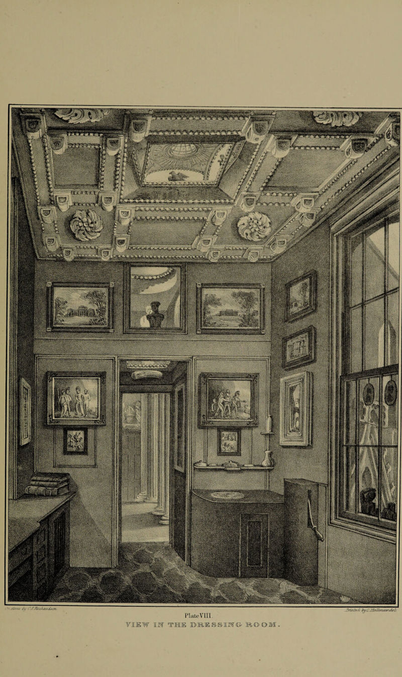 WsjtgBji: IMgm |p§| mm • _ ■ . <xrM?<jn- PlateVIII. FIJEW 1^ THE DRESSING ROOM
