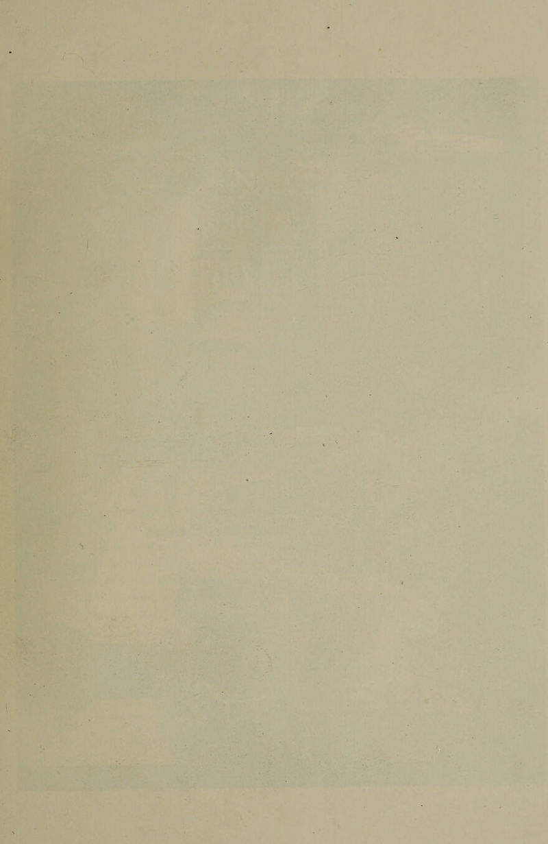 / # . I ■ \ % \ I V. .*•