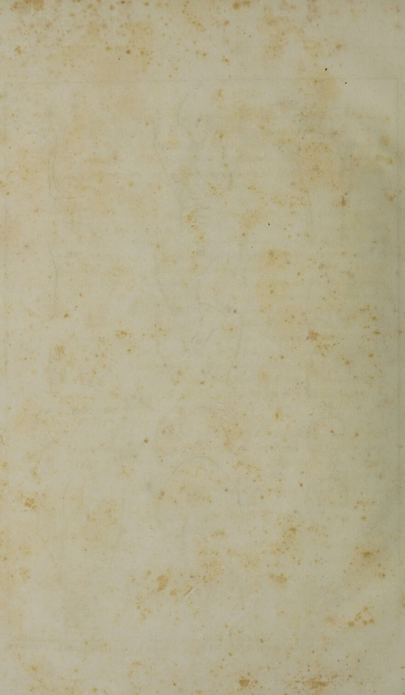 • » * • — ? rm **■*•* * r. # .* * • • . r. 7 • *' . . 4 * ' - * . *• .-• / «* * • I * : *» ■ . ■ * . V * , ■