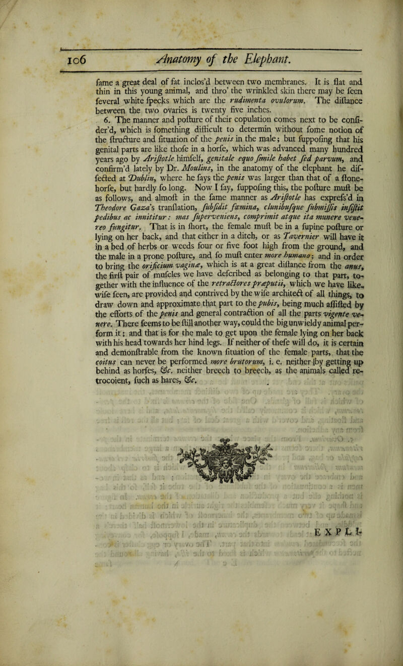 L Anatomy of the Elephant. 106 fame a great deal of fat inclos’d between two membranes. It is flat and thin in this young animal, and thro’ the wrinkled skin there may be feen feveral white fpecks which are the rudimenta ovulorum. The diftance between the two ovaries is twenty five inches. 6. The manner and pofture of their copulation comes next to be confi- der’d, which is fomething difficult to determin without fome notion of the ftru&ure and fituation of the penis in the male; but fuppofing that his genital parts are like thofe in a horfe, which was advanced many hundred years ago by Ariflotle himfelf, genitale equo fimile habet fed parvum-, and confirm’d lately by Dr. Moulins, in the anatomy of the elephant he dif¬ fered at \Dublin, where he fays tfie penis was larger than that of a ftone- horfe, but hardly fo long. Now I fay, fuppofing this, the pofture muft be as follows, and almoft in the fame manner as Ariflotle has exprefs’d in Theodore Gaza's tranflation, fubfldit foemina, clunibufque fubmijfls infiflit pedibus ac innititur: mas fuperveniens, comprimit atque it a munere vene¬ rea fungitur. That is in lliort, the female mult be in a fupine pofture or lying on her back, and that either in a ditch, or as Tavernier will have it in a bed of herbs or weeds four or five foot high from the ground, and the male in a prone pofture, and fo muft enter more humano; and in order to bring the orificium vaginae-, which is at a great diftance from the anusy the firft pair of mufcles we have defcribed as belonging to that part, to¬ gether with the influence of the retrafiores praputii, which we have like, wife feen, are provided and contrived by the wife architect of all things, to draw down and approximate that part to the pubis, being much affifted by the efforts of the penis and general contraction of all the parts vigente ve¬ rier e. There feems to be ftill another way, could the big unwieldy animal per¬ form it; and that is for the male to get upon the female lying on her back with his head towards her hind legs. If neither of thefe will do, it is certain and demonftrable from the known fituation of the female parts, that the coitus can never be performed more brut or i. e. neither [by getting up behind as horfes, &c. neither breech to breech, as the animals called re- trocoient, fuch as hares, &c. E X P t I*