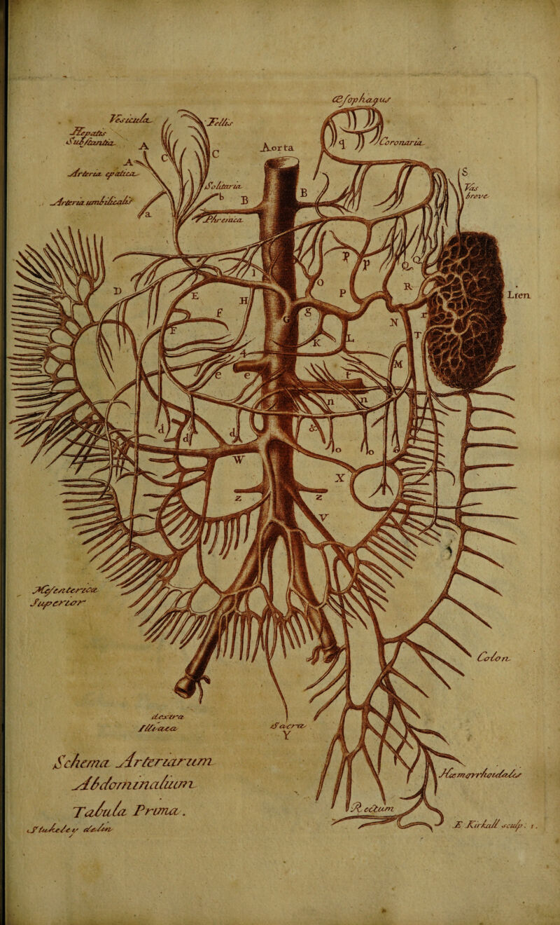 Schema _s4rtemarum _y4hcfom mahur? i Talci/a Prana . cS'' a cicjcfr'-a //// a,e<z Pcrp E -KirCz// xi'cu/p r- J~fa? m<7?r/iffuCz/ts Jestcu/cL- Jj-patls \ C'uE/hzn&z- ./frfrrca- erotica-'