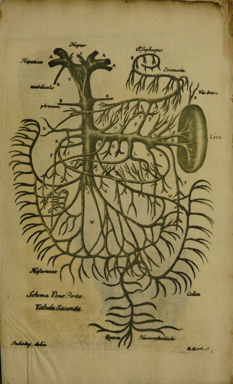 Vas 6rtvc Lien ~y^epa&bC4t' *Jc/t€mas Tlcna* jArr&e. TaSu^a, Secundn. Colon % Mr'* .. /