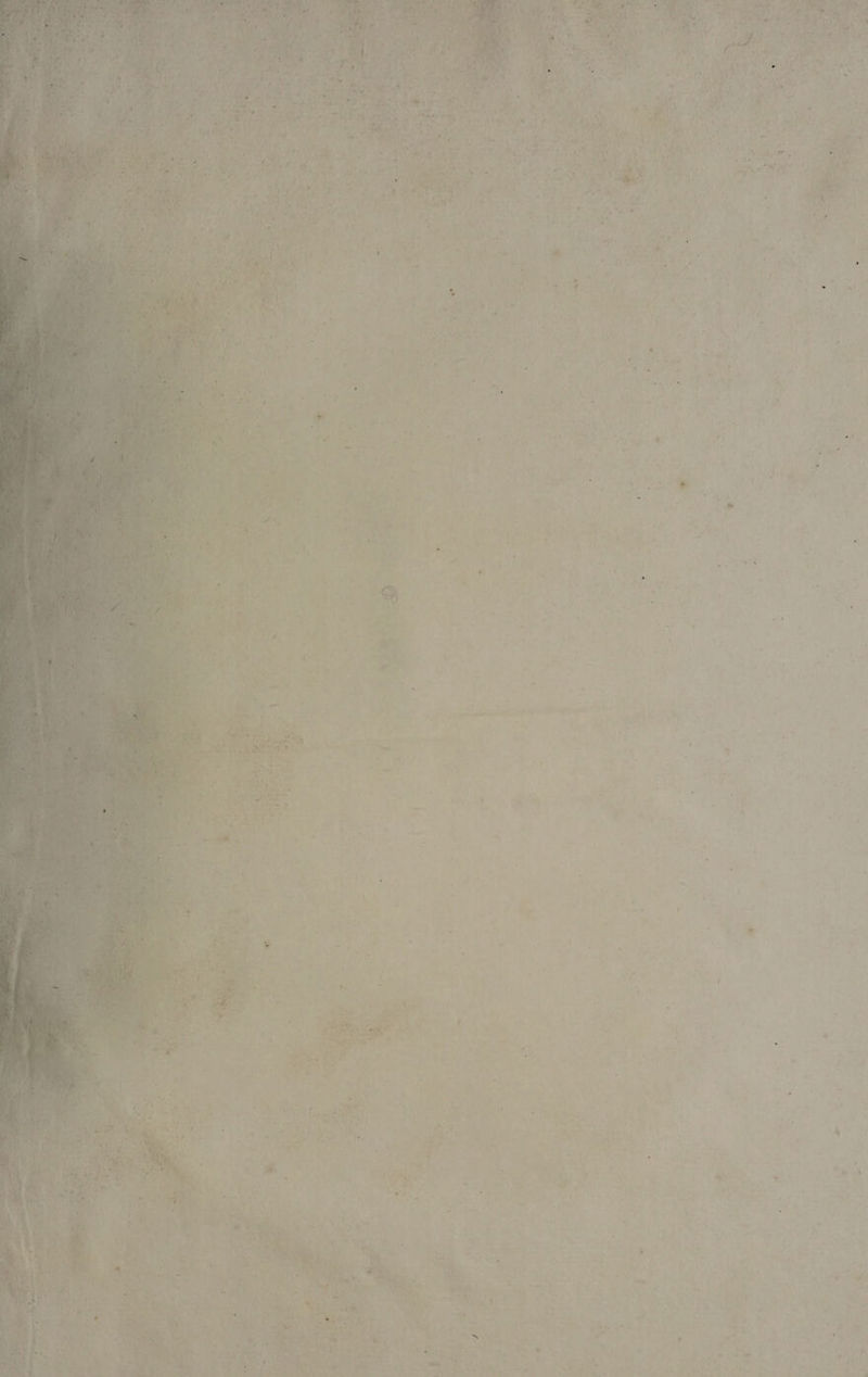 I ' ■ i.* . ■- ' / * .. ■ = - Ik,; ■ •.-/ . : i . ‘ .v. <■ > .#♦* * ■ - ■ ■ ■ . . . s . ■ •' * *