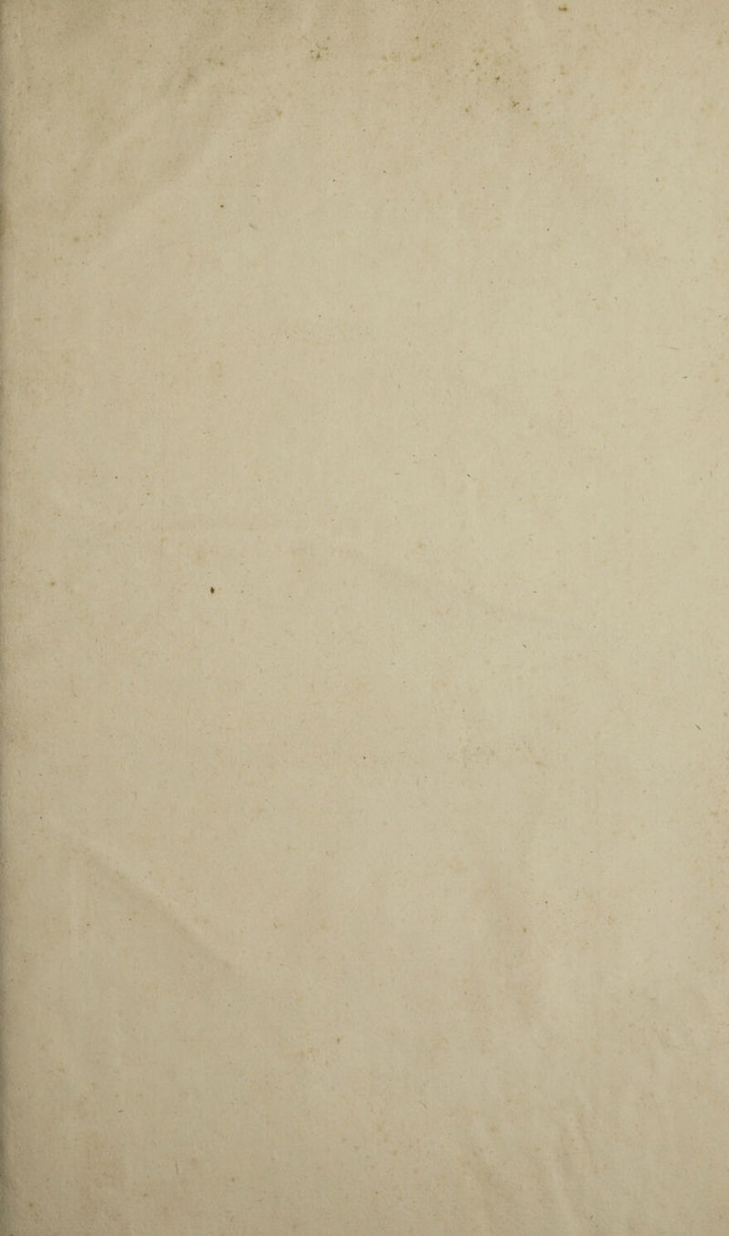 i;,i^.*^,«v • -V.. • • !> ■ “F, -.f'.,»-- ...r.'v c.-'v, .'. ’ £-‘*’-.i^/ ♦• *. TF'* ti r ^,;-. ■■!£!»?' - 'X .v.r'*-;w'-. :■-•••«■ T^- •—;/•(.’ • *■ ' .Aÿ,/ ^ •• ' • •'^ Ife ».* X ' • J/ y * ■'  ,. ,X K W. \ ' *■ •■ ' ■ ' - •■* '.. ^ .. ' ' - '.* ' >1 ■'■ ' ' X V.'V ■ _ * 1 . '.* jlf, .. •• '. ’i ■' v'i \ ' .<.''■ â ^ « ■■ il ■ • V, , . - ; . .V- -: .■> Xi.., .X ■ ' ■■■ X 'x^VX^X.y^VX- ^ ■> ■^- ^•!7•?■ .> y.:- r.'y ■ •'-■■'■ h I > y* U *• u%^ ^ \ * / i • ’i 'W ► ‘ ;. . ' • ■ “ V -. <p . , ^,V ' , ,v ■ i;- , ., ‘v-,r,:... ••'■ ix-: -■ ■ ■ ■ yx y '-yy-y. ■ '■ ; ■ xyrx. « rr y , V J'.. Xr- ■ •■ ' * ■ .' ' » • • ' • ■■ y y- f ‘ ’ 1 ■ >'.•, ■ ■ ■' . J ■ XXXX'V’ >' •. '■ t, .. ^ ■ fx- > * » *■. •V ' ■•• . ■ ./ % • '^X* . -J* '• â - • J. ■ ■ 'y i ■»• « 1- • . - ■ ' \ . '*' ■ '■ «' -V \'*i'' / 'j t 'fi. ' ■■£,' 'V' ' ’«■' i' •'■•,, ■•'^ '** •* • •■ • ,. ’X ^, .X ■• •. ‘/.v^' '•■ .X ■ • s :. <.• •, ■, « ; ’ ■ ■• •->' •? ’X . i , - f ■ i '  ■ ■ ' ' *..■■.*' ' ; ■' !f;. i f', ,. X: :i. •■ * ^ . ■' . -, * • ',r‘ T.K ‘ ' X • . , •/ ^ ► . r • * . • .. . > ;■> .. ' 'H' m-x-’ U ■ . ■ ■’ -v ^ X -^ .'■ • f <y\ ' '• 'Y- ■ , ' . . -M '■: ■-.y • . • ^ ■ • <*1 '■■■>■' -.y. y ■V’X^ '.J ■ : '‘.'’.'«»v. ,-• - X ‘ ■' , i?tv '. .rr*.. ' .. , ■, ’ 4 '.’ï f • ' ^ ‘tV,. \ X^;>X . • , .A-,.'’* J ■ ^ i ■• '-f- 1 ^ .-A • • •• f- .■ * ; x. -K* ■ J ■ . s ' ’ *-.- ' ■ >5^ m'J ' • .- '■ ' ■ ' •'■ <4* •'f;' t ,V . ^r-W:xy.y\\y , ■ '7^4> .v-.'T K . * » ■l, ). '<^^4,' ■t- , • J iW A . ,; ♦ . T .-■ \. ■ ^ \\’ ■ \ .g I j » ,‘‘'.v^'7X'*'. %, ■ r .-‘Xv' -, .^y 7'lû ..'BSÊ; ^;v ••■■A r.„. ' X. X-. ; fe-vS'X^^r ■ X'X .•_ '■A' ■ / ■ ’ ‘Vv >• , ■ - . A-'-. • .-i', . ' ■ X. • -..•,>'«■■.■*. ., ^ y Xy.X.i'., :f. , . .'■• 'X ■«- * ••:. •-•■ .. • i/ , ^ y X'- -■• ■ 7--'X'. V •■ - ^- :•* - y *' ^ - • ■. ■ • *' ' - • ■;• .■■<'%■■/ ' x '■ - - ï>.i. , v- :• Vi < „ ■ » ■ * 0 ■»* • ■ \ ‘v 2 ^ f • A, ' . ■ • ' •. M I lAlC .“ »j7-] */ *i ^ ' -iX .’ ■• .'♦ ■^iX'' . ’Xa, X;f;' : ,.A '^y .' ■■ .■■X\''-X;'\. '.X ■ 'X' ./v X ■ «.x «v .  X ,. 0;*-. ■ -..I., •'^. : .■.>'?v . ■ r '■- ' ' -v, ;., «v '. - . . ■ 'A. ■.. ; ' ■<■•,■■ <\ . .V-T,' 1 *•■7/1. TV , : • ^ ‘ :\:. ; •■■ /■-•>.-'^■■■':‘W,ïA.:- ■ ■' ■-. ■■.■■ ■■ • •'v • •• - ti' V*- '; ' ■ '•‘A .B ■4'J.,V-'i.. .-■ , .,:.v- « . ■ ' t. , Âv^; - '4^ .'i -- ^ .:. • ( ' T- - • • >*. %x ■v :'^ ■.. ’ ;■■ . 4 .*** *. ' ,•; -v. >- ■'-i .r- t,'..T- ' '.' - , v'/^' ' ■ ' ■/'' •'* >»■•'. ■' ' ■ ■» ..‘jV! *'*■ -. X ^ • .*-, •- ^ . .* /X r‘ .X # Y ♦ ■ ' ' T*'.. .• . • .V*. ^ ■ 'V.-* ». rfV •-7‘;.c >*i ■?.^. ■• U, ■ , -x ^ . : '4v- *7 • ' x J .*• X - * ;• ■ - :^''t. - ' à;---'.' p>44.i7î^ ipW-- 5 \ 4 > r *<• » ■- •■■ T'> ‘U  i- i. ■ 'J 'I ^ T '•» ^ ^'*.^ «. ' -I i. ^ ■ 1 .' v- '^'v - ^t ■' *-  ‘ - Lr»- ■ ' ,V' -■■Tt-'f • S •• ^ VT ^^^ 4 A'! * lÂk 'r- A ;< «^*'v t - - y « V -* . ‘ V- ' :'%■ ■ •> . '>•..• Lt*.i A*'':' ■ ''X'-,'.':-. X'T-' ■.■■ - ■ i ^ -.< ■•'X '. % \ ' V■*■' , '* *'' ' ’ >i ;-4.' -s ' ■ ■ ■ t: -'■ ?r-X'. •/V,t4 •X-r-X'-'>;î ■,. ; X Xy ni'X-y- :^xx'^ ^ -» * • .■ X .r .t r * Wi. ' *'. » A», , .'K; -'Va- * .,>’X-X ' ''/. , - •■ ,î^.'-’ ' •■ ..\ , ■* . •’X''^''-*^'.'••■ . ■* ■ ■ .- /S Ÿ'I • y —‘-- * I . * K ' . . • >• - -L, ^ î \ Ë^’ïX'a'* '■ .-■ '■;-:aÇj A.- ■ '. ■ .’“ X- ■ 'h-v.-- 'ijl. .■*. 'A'**>'• . ■•>, . À^ y- •■ '■ •' »■ ' i'A^Ev-'* -., ■.■’“■■ ,.•. . ‘ ‘ -y. •* ** . A ■•' T* * -r ■ »» ) t* I*' $ - -'i- X. 'V [. i.'à ‘ *