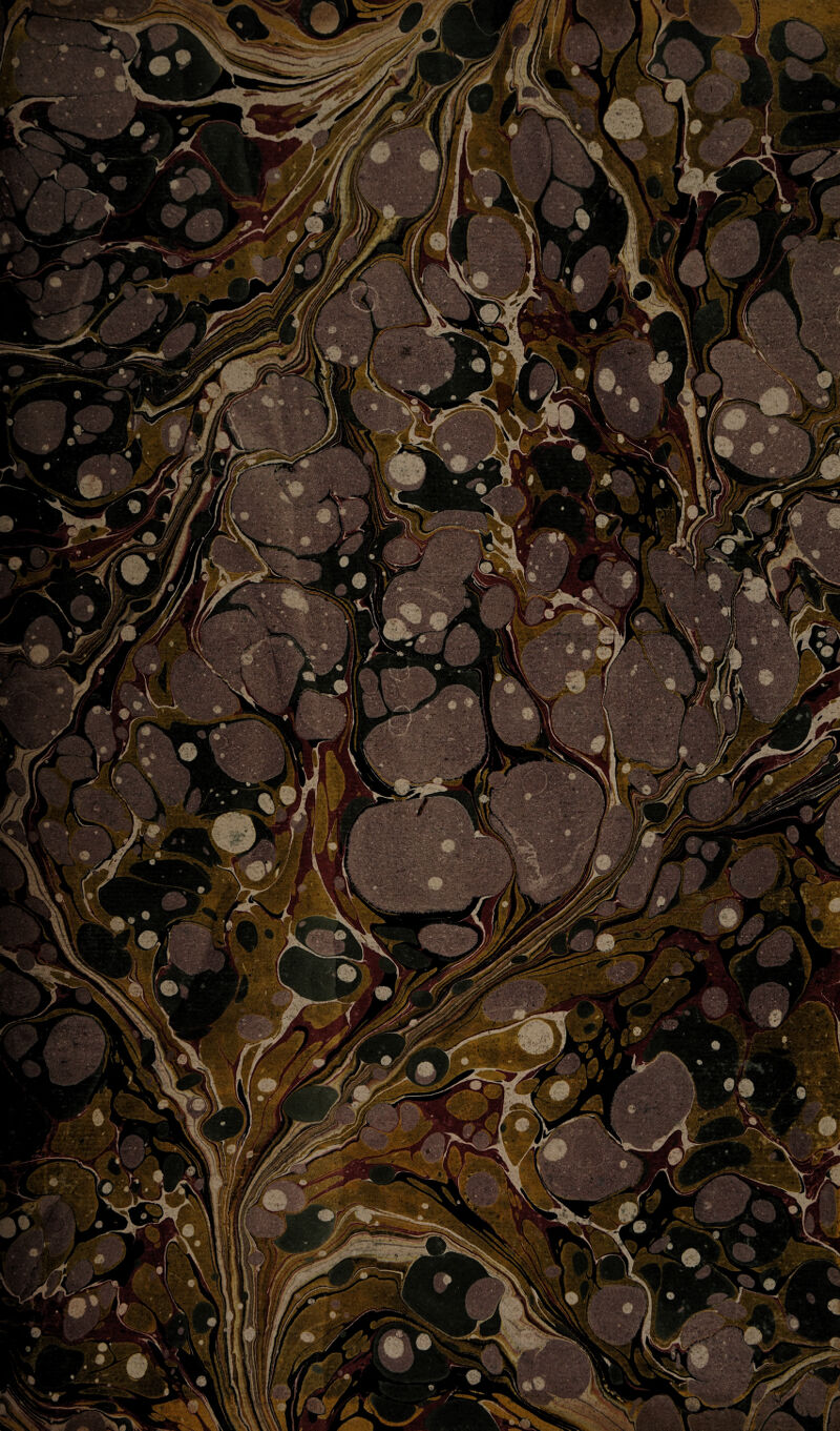 M •.../■•, v'-'VtK ■ \ mi ■fi .. y . J ^m?''jr>WPk #/ ,|r'- 1 'ifrj f In , IB I,/ > f,I|l inSjt ■ j] j ■'»( i I'l'rV '  f*m ' MI jI BT' IA7 , ■ iff/oy f . ^SS if// y y^ i ■ ■ jn A; , j |p\ wsAmM ■, \BH as ns^^JVnl ti ■' H ' ' ^-'Ta— \\ l^£=^r '*Tnt Mf MPK - li is I: ,1 . AB ■& A ffH |L_ l ■ ^l|L_ - - r A* ggy../ ^ *  ,»• - ^y.j^|5M ^HP' ^HfH '■,'\-^K'*m^Uk. ■ jHhgl iHH? p§ i y