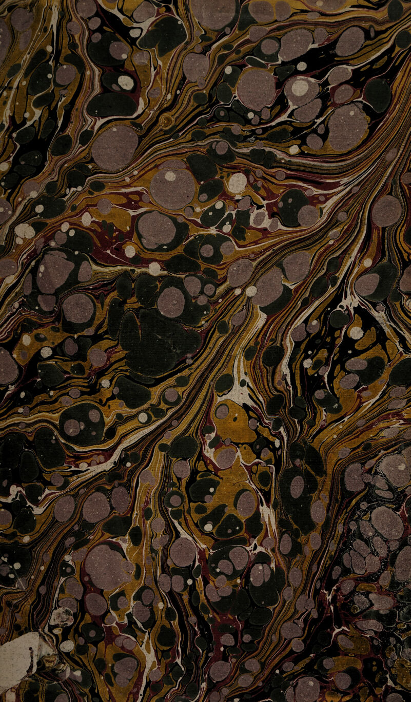 ®gi P$V';.«i ^Snri.^H iK)9