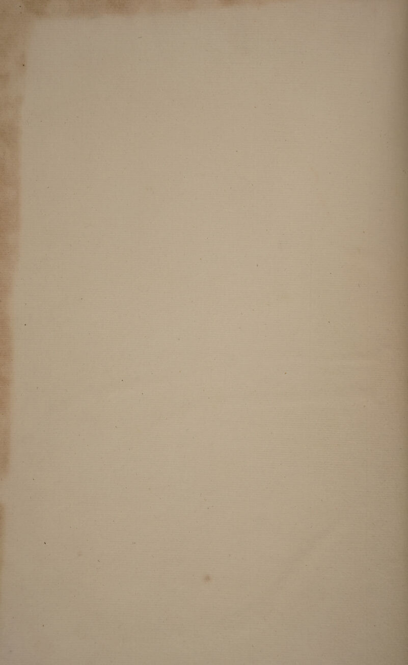 . 1 S ’V^'^. ^-'. ssr.^.‘ ■V ► -* V / > - . '<■ — .'< - <1 ■■  V V I .,»«5' '>?•. -V :Jt«r.«. af ;t-. V. ‘«5^. • ' • ** - - 3:^ i: ' / V-' ' ■ *■ ^ ' *• »- ^ .-k. / . ^ * . ■ > -...••, i •• • V •• 1 -. »-rj. -v ■ -. ; • < . —. .. • • *■ • — • - ^ ^■--7 - • I ■ ^L-':- -•-. • S — » ' / . *- .• ■Ll>C«i., ., .W . @5' > I • -: . >• ■ •*» - ^ »mm ' - ' .* 7. ’ t' ^ * -•“..1 -x‘n •-V- t ^*.’., A Ik t I •r^ f- — A 4 1 # p'-te . . •v n. •• ✓ V • < * * > - »'d. '