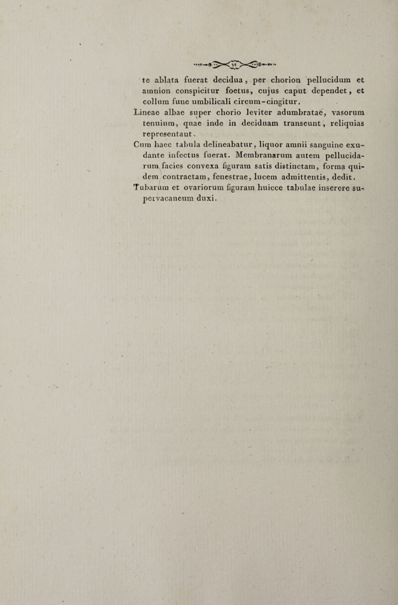 >-o te ablata fuerat decidua, per chorion pellucidum et amnion conspicitur foetus, cujus caput dependet, et colium fune umbilicali circum-cingitur. Lineae albae super chorio leviter adumbratae, vasorum tenuium, quae inde in deciduam transeunt, reliquias representant. Cum haec tabula delineabatur, liquor amnii sanguine exu- dante infectus fuerat. Membranarum autem pellucida¬ rum facies convexa figuram satis distinctam, forma qui¬ dem contractam, fenestrae, lucem admittentis, dedit. Tubarum et ovariorum figuram huicce tabulae inserere su¬ pervacaneum duxi.