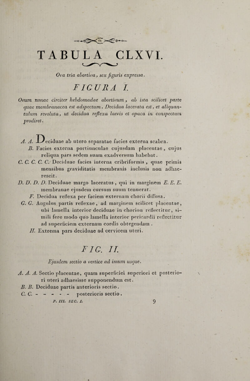 •• •© —®^’6* * * TABULA CLXVI. Ova tria abortiva, sex figuris expressa. FIGURA I. Ovum nonae circiter hebdomadae abortivum , ab ista scilicet parte quae membranacea est adspectum. Decidua lacerata est, et aliquan¬ tulum revoluta, ut decidua reflexa laevis et opaca in conspectum prodiret. A. A. Deciduae ab utero separatae facies externa scabra. B. Facies externa portiunculae cujusdam placentae , cujus reliqua pars sedem suam exadversum habebat. C. C. C. C. C.' Deciduae facies interna cribriformis , quae primis mensibus graviditatis membranis inclusis non adhae¬ rescit. D. D. D. D. Deciduae margo laceratus , qui in marginem E. E. E. membranae ejusdem cursum suum tenuerat. F. Decidua reflexa per faciem externam chorii diffusa. C. G. Angulus partis reflexae, ad marginem scilicet placentae, ubi lamella interior deciduae in chorion reflectitur, si¬ mili fere modo quo lamella interior pericardii reflectitur ad superficiem externam cordis obtegendam . FI. Extrema pars deciduae ad cervicem uteri. FIG. II Ejusdem sectio a vertice ad imum usque. A. A. A. Sectio placentae, quam superficiei superiori et posterio¬ ri uteri adhaesisse supponendum est. B. B. Deciduae partis anterioris sectio. C. C. - - - - - posterioris sectio.