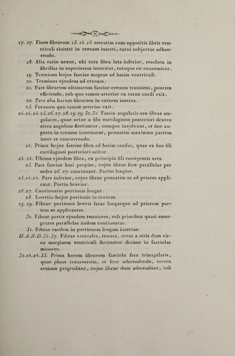 ij. 17. Fines fibrarum 13. i4. i5. serratim cum oppositis fibris ven¬ triculi sinistri in crenam inserti, carni subjectae adhae¬ rendo. 18. Alia ratio nexus, ubi tota fibra lata inferior, resoluta in fibrillas in superiorem inseritur, totaque sic consumitur. lg. Terminus hujus fasciae magnae ad basim ventriculi. 20. Terminus ejusdem ad crenam. 21. Pars fibrarum ultimarum fasciae crenam transiens,pontem efficiendo, sub quo ramus arteriae ex carne cordi exit. 22. Pars alia harum fibrarum in carnem inserta. 23. Foramen quo ramus arteriae exit. 24.24.24.25.26'. 27.28.2(). 2g. 3o.3i. Fascia angularis seu fibrae an¬ gulares, quae ortae a filo cartilagineo posteriori dextro circa angulum flectuntur, eumque involvunt, et fine an¬ gusto in crenam inseruntur, pennatim maximam partem inter se concurrendo. 24. Prima hujus fasciae fibra ad basim cordis, quae ex fine fili cartilaginei posteriori oritur. 24. 24. Ultima ejusdem fibra, ex principio fili emergentis orta. 25. Pars fasciae basi propior, cujus fibrae fere parallelae per sedes 26. 27. continuant. Portio longior. 25.24.24. Pars inferior, cujus fibrae pennatim se ad priores appli¬ cant. Portio brevior. 26.27. Continuatio portionis longae. 28 Insertio hujus portionis iri crenam. 2g. 2Q. Fibrae portionis brevis latae longaeque ad priorem par¬ tem se applicantes. 30. Fibrae partis ejusdem tenuiores, sub prioribus quasi emer¬ gentes parallelae iisdem continuatae. 31. Fibrae eaedem in portionem longam insertae. M.A.JV.D.Ji.57. Fibrae ventrales, tenues, ortae a stria dum cir¬ ca marginem ventriculi flectuntur divisae in fasciolas minores. J2.24.24.35. Prima harum fibrarum fasciola fere triangularis, quae plane transversirn, et fere adscendemdo, versus crenam progreditur, cujus fibrae dum adseendunt, sub