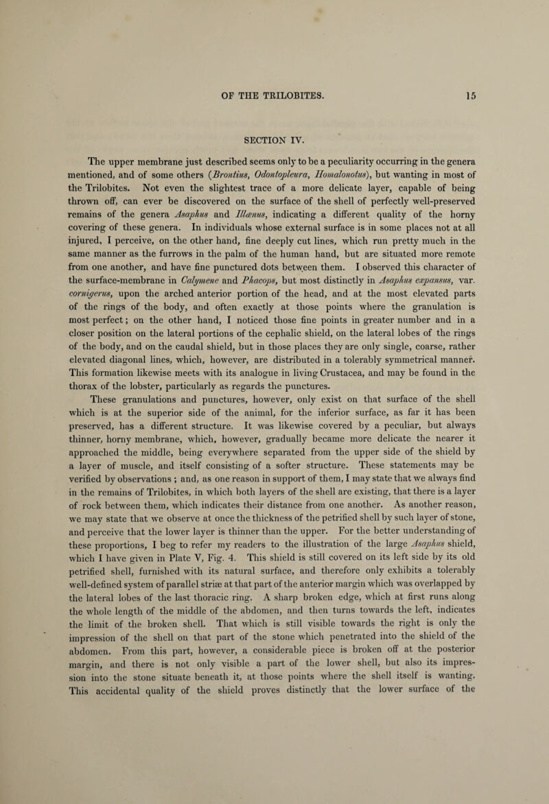 SECTION IY. The upper membrane just described seems only to be a peculiarity occurring in the genera mentioned, and of some others (Brontius, Odontopleura, Homalonotus), but wanting in most of the Trilobites. Not even the slightest trace of a more delicate layer, capable of being thrown off, can ever be discovered on the surface of the shell of perfectly well-preserved remains of the genera Asaphus and Elams, indicating a different quality of the homy covering of these genera. In individuals whose external surface is in some places not at all injured, I perceive, on the other hand, fine deeply cut lines, which run pretty much in the same manner as the furrows in the palm of the human hand, but are situated more remote from one another, and have fine punctured dots between them. I observed this character of the surface-membrane in Ccdymene and Phacops, but most distinctly in Asaphus expansus, var. cornigerus, upon the arched anterior portion of the head, and at the most elevated parts of the rings of the body, and often exactly at those points where the granulation is most perfect; on the other hand, I noticed those fine points in greater number and in a closer position on the lateral portions of the cephalic shield, on the lateral lobes of the rings of the body, and on the caudal shield, but in those places they are only single, coarse, rather elevated diagonal lines, which, however, are distributed in a tolerably symmetrical manner. This formation likewise meets with its analogue in living Crustacea, and may be found in the thorax of the lobster, particularly as regards the punctures. These granulations and punctures, however, only exist on that surface of the shell which is at the superior side of the animal, for the inferior surface, as far it has been preserved, has a different structure. It was likewise covered by a peculiar, but always thinner, horny membrane, which, however, gradually became more delicate the nearer it approached the middle, being everywhere separated from the upper side of the shield by a layer of muscle, and itself consisting of a softer structure. These statements may be verified by observations ; and, as one reason in support of them, I may state that we always find in the remains of Trilobites, in which both layers of the shell are existing, that there is a layer of rock between them, which indicates their distance from one another. As another reason, we may state that we observe at once the thickness of the petrified shell by such layer of stone, and perceive that the lower layer is thinner than the upper. For the better understanding of these proportions, I beg to refer my readers to the illustration of the large Asaphus shield, which I have given in Plate V, Fig. 4. This shield is still covered on its left side by its old petrified shell, furnished with its natural surface, and therefore only exhibits a tolerably well-defined system of parallel striae at that part of the anterior margin which was overlapped by the lateral lobes of the last thoracic ring. A sharp broken edge, which at first runs along the whole length of the middle of the abdomen, and then turns towards the left, indicates the limit of the broken shell. That which is still visible towards the right is only the impression of the shell on that part of the stone which penetrated into the shield of the abdomen. From this part, however, a considerable piece is broken off at the posterior margin, and there is not only visible a part of the lower shell, but also its impres¬ sion into the stone situate beneath it, at those points where the shell itself is wanting. This accidental quality of the shield proves distinctly that the lower surface of the