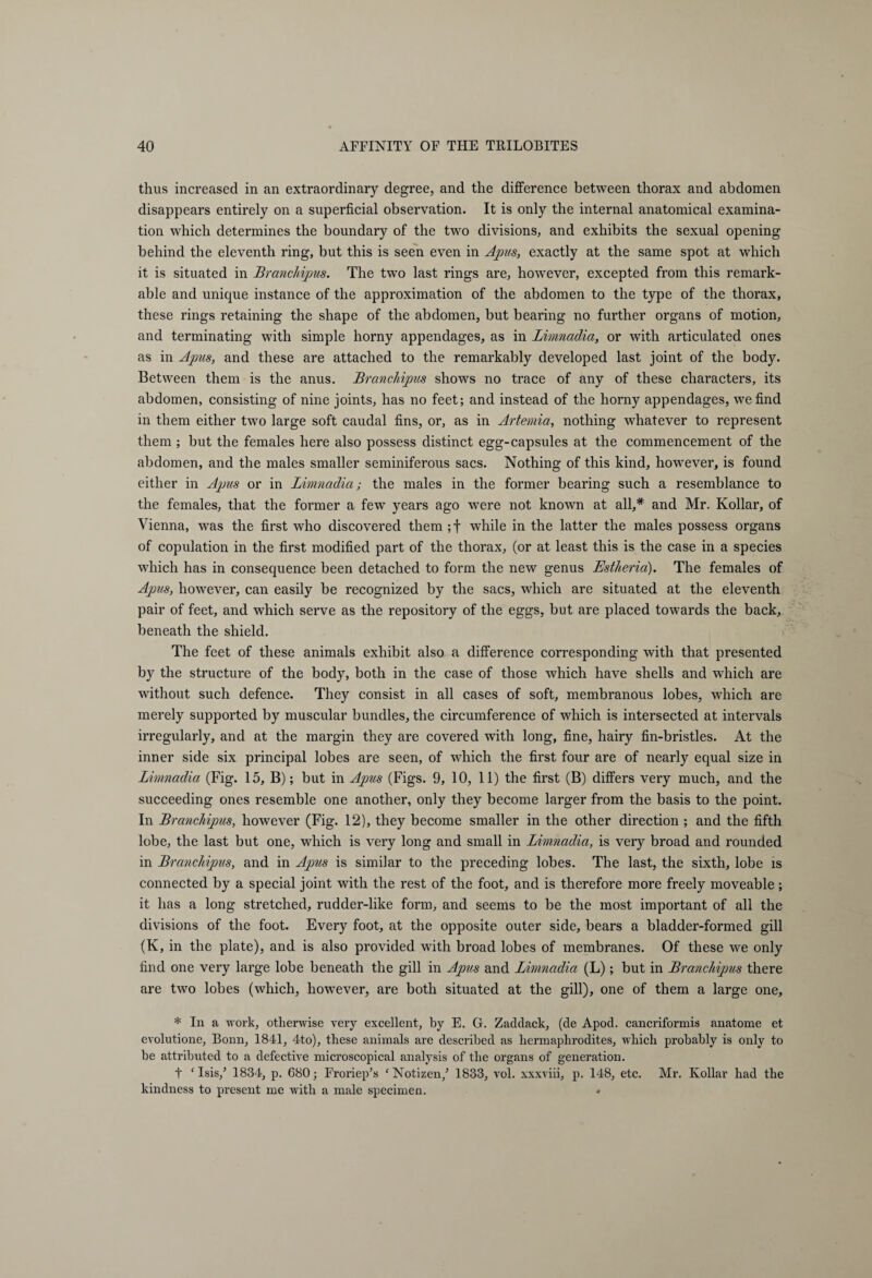 thus increased in an extraordinary degree, and the difference between thorax and abdomen disappears entirely on a superficial observation. It is only the internal anatomical examina¬ tion which determines the boundary of the two divisions, and exhibits the sexual opening behind the eleventh ring, but this is seen even in Apus, exactly at the same spot at which it is situated in Branchipus. The two last rings are, however, excepted from this remark¬ able and unique instance of the approximation of the abdomen to the type of the thorax, these rings retaining the shape of the abdomen, but bearing no further organs of motion, and terminating with simple horny appendages, as in Limnadia, or with articulated ones as in Apus, and these are attached to the remarkably developed last joint of the body. Between them is the anus. Branchipus shows no trace of any of these characters, its abdomen, consisting of nine joints, has no feet; and instead of the horny appendages, we find in them either two large soft caudal fins, or, as in Artemia, nothing whatever to represent them ; but the females here also possess distinct egg-capsules at the commencement of the abdomen, and the males smaller seminiferous sacs. Nothing of this kind, however, is found either in Ajjus or in Limnadia; the males in the former bearing such a resemblance to the females, that the former a few years ago were not known at all,* and Mr. Kollar, of Vienna, was the first who discovered them ;f while in the latter the males possess organs of copulation in the first modified part of the thorax, (or at least this is the case in a species which has in consequence been detached to form the new genus LJstheria). The females of Apus, however, can easily be recognized by the sacs, which are situated at the eleventh pair of feet, and which serve as the repository of the eggs, but are placed towards the back, beneath the shield. The feet of these animals exhibit also a difference corresponding with that presented by the structure of the body, both in the case of those which have shells and which are without such defence. They consist in all cases of soft, membranous lobes, which are merely supported by muscular bundles, the circumference of which is intersected at intervals irregularly, and at the margin they are covered with long, fine, hairy fin-bristles. At the inner side six principal lobes are seen, of which the first four are of nearly equal size in Limnadia (Fig. 15, B); but in Apus (Figs. 9, 10, 11) the first (B) differs very much, and the succeeding ones resemble one another, only they become larger from the basis to the point. In Brancldpus, however (Fig. 12), they become smaller in the other direction ; and the fifth lobe, the last but one, which is very long and small in Limnadia, is very broad and rounded in Branchipus, and in Aptis is similar to the preceding lobes. The last, the sixth, lobe is connected by a special joint with the rest of the foot, and is therefore more freely moveable; it has a long stretched, rudder-like form, and seems to be the most important of all the divisions of the foot. Every foot, at the opposite outer side, bears a bladder-formed gill (K, in the plate), and is also provided with broad lobes of membranes. Of these we only find one very large lobe beneath the gill in Apus and Limnadia (L); but in Branchipus there are two lobes (which, however, are both situated at the gill), one of them a large one, * In a work, otherwise very excellent, by E. G. Zaddack, (de Apod, cancriformis anatome et evolutione, Bonn, 1841, 4to), these animals are described as hermaphrodites, which probably is only to be attributed to a defective microscopical analysis of the organs of generation. t ‘Isis/ 1834, p. 680; Froriep’s ‘Notizen/ 1833, vol. xxxviii, p. 148, etc. Mr. Kollar had the kindness to present me with a male specimen. +