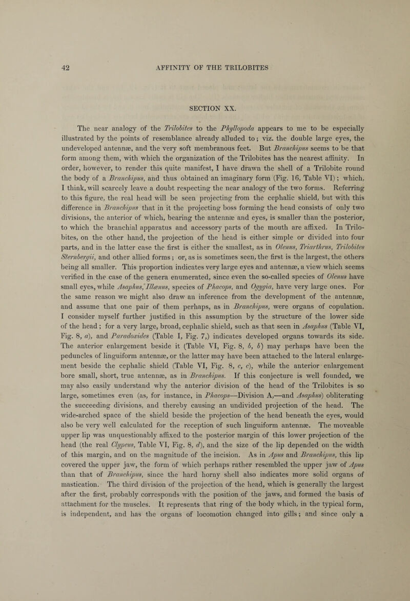 SECTION XX. The near analogy of the Trilobites to the Phyllopoda appears to me to be especially illustrated by the points of resemblance already alluded to; viz. the double large eyes, the undeveloped antennae, and the very soft membranous feet. But Branchipus seems to be that form among them, with which the organization of the Trilobites has the nearest affinity. In order, however, to render this quite manifest, I have drawn the shell of a Trilobite round the body of a Brcinchipus, and thus obtained an imaginary form (Fig. 16, Table VI); which, I think, will scarcely leave a doubt respecting the near analogy of the two forms. Referring to this figure, the real head will be seen projecting from the cephalic shield, but with this difference in Branchipus that in it the projecting boss forming the head consists of only two divisions, the anterior of which, bearing the antennae and eyes, is smaller than the posterior, to which the branchial apparatus and accessory parts of the mouth are affixed. In Trilo¬ bites, on the other hand, the projection of the head is either simple or divided into four parts, and in the latter case the first is either the smallest, as in Olenus, Triarthrus, Trilobites Sternberyii, and other allied forms ; or, as is sometimes seen, the first is the largest, the others being all smaller. This proportion indicates very large eyes and antennae, a view which seems verified in the case of the genera enumerated, since even the so-called species of Olenus have small eyes, while Asaphus^Illcems, species of Phacops, and Oyyyia, have very large ones. For the same reason we might also draw an inference from the development of the antennae, and assume that one pair of them perhaps, as in Branchipus, were organs of copulation. I consider myself further justified in this assumption by the structure of the lower side of the head ; for a very large, broad, cephalic shield, such as that seen in Asaphus (Table VI, Fig. 8, a), and Paradoxides (Table I, Fig. 7,) indicates developed organs towards its side. The anterior enlargement beside it (Table VI, Fig. 8, b, b) may perhaps have been the peduncles of linguiform antennae, or the latter may have been attached to the lateral enlarge¬ ment beside the cephalic shield (Table VI, Fig. 8, c, c), while the anterior enlargement bore small, short, true antennae, as in Branchipus. If this conjecture is well founded, we may also easily understand why the anterior division of the head of the Trilobites is so large, sometimes even (as, for instance, in Phacops—Division A,—and Asaphus) obliterating the succeeding divisions, and thereby causing an undivided projection of the head. The wide-arched space of the shield beside the projection of the head beneath the eyes, would also be very well calculated for the reception of such linguiform antennae. The moveable upper lip was unquestionably affixed to the posterior margin of this lower projection of the head (the real Clypeus, Table VI, Fig. 8, d), and the size of the lip depended on the width of this margin, and on the magnitude of the incision. As in Apus and Branchipus, this lip covered the upper jaw, the form of which perhaps rather resembled the upper jaw of Apus than that of Branchipus, since the hard horny shell also indicates more solid organs of mastication. The third division of the projection of the head, which is generally the largest after the first, probably corresponds with the position of the jaws, and formed the basis of attachment for the muscles. It represents that ring of the body which, in the typical form, is independent, and has the organs of locomotion changed into gills; and since only a