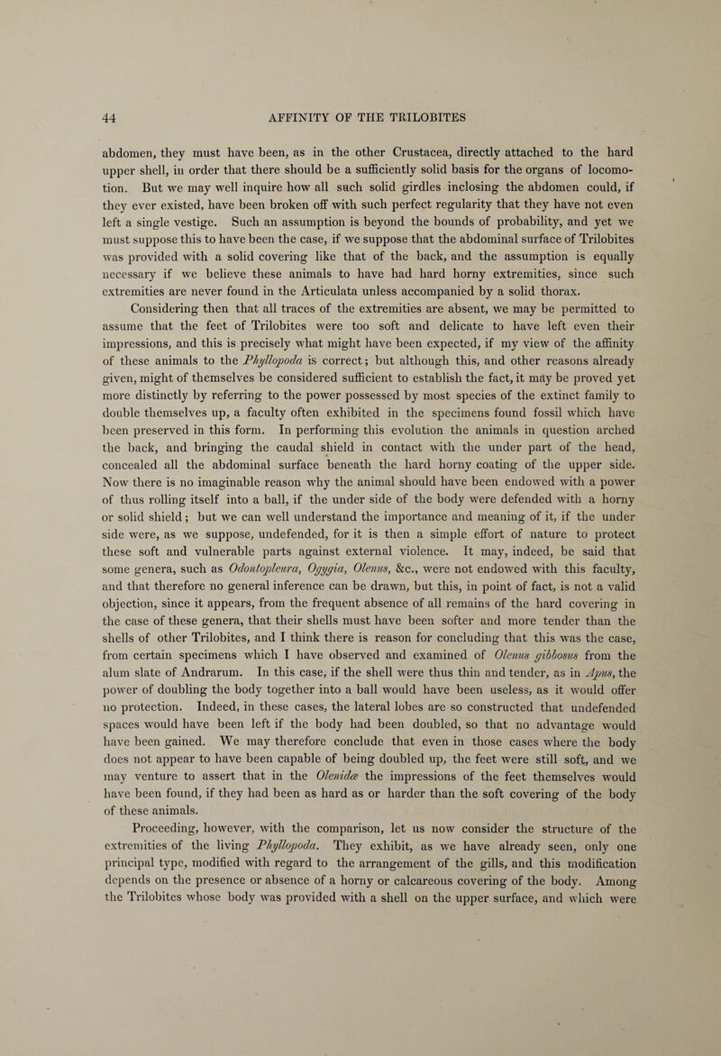 abdomen, they must have been, as in the other Crustacea, directly attached to the hard upper shell, in order that there should be a sufficiently solid basis for the organs of locomo¬ tion. But we may well inquire how all such solid girdles inclosing the abdomen could, if they ever existed, have been broken off with such perfect regularity that they have not even left a single vestige. Such an assumption is beyond the bounds of probability, and yet we must suppose this to have been the case, if we suppose that the abdominal surface of Trilobites was provided with a solid covering like that of the back, and the assumption is equally necessary if we believe these animals to have had hard horny extremities, since such extremities are never found in the Articulata unless accompanied by a solid thorax. Considering then that all traces of the extremities are absent, we may be permitted to assume that the feet of Trilobites were too soft and delicate to have left even their impressions, and this is precisely what might have been expected, if my view of the affinity of these animals to the Phyllopoda is correct; but although this, and other reasons already given, might of themselves be considered sufficient to establish the fact, it may be proved yet more distinctly by referring to the power possessed by most species of the extinct family to double themselves up, a faculty often exhibited in the specimens found fossil which have been preserved in this form. In performing this evolution the animals in question arched the back, and bringing the caudal shield in contact with the under part of the head, concealed all the abdominal surface beneath the hard horny coating of the upper side. Now there is no imaginable reason why the animal should have been endowed with a power of thus rolling itself into a ball, if the under side of the body were defended with a horny or solid shield; but we can well understand the importance and meaning of it, if the under side were, as we suppose, undefended, for it is then a simple effort of nature to protect these soft and vulnerable parts against external violence. It may, indeed, be said that some genera, such as Odontopleura, Ogyyia, Olenus, &c., were not endowed with this faculty, and that therefore no general inference can be drawn, but this, in point of fact, is not a valid objection, since it appears, from the frequent absence of all remains of the hard covering in the case of these genera, that their shells must have been softer and more tender than the shells of other Trilobites, and I think there is reason for concluding that this was the case, from certain specimens which I have observed and examined of Olenus yibbosus from the alum slate of Andrarum. In this case, if the shell were thus thin and tender, as in Apus, the power of doubling the body together into a ball would have been useless, as it would offer no protection. Indeed, in these cases, the lateral lobes are so constructed that undefended spaces wTould have been left if the body had been doubled, so that no advantage would have been gained. We may therefore conclude that even in those cases where the body does not appear to have been capable of being doubled up, the feet -were still soft, and we may venture to assert that in the Olenidce the impressions of the feet themselves would have been found, if they had been as hard as or harder than the soft covering of the body of these animals. Proceeding, however, with the comparison, let us now consider the structure of the extremities of the living Phyllogioda. They exhibit, as we have already seen, only one principal type, modified with regard to the arrangement of the gills, and this modification depends on the presence or absence of a horny or calcareous covering of the body. Among the Trilobites whose body was provided with a shell on the upper surface, and which were