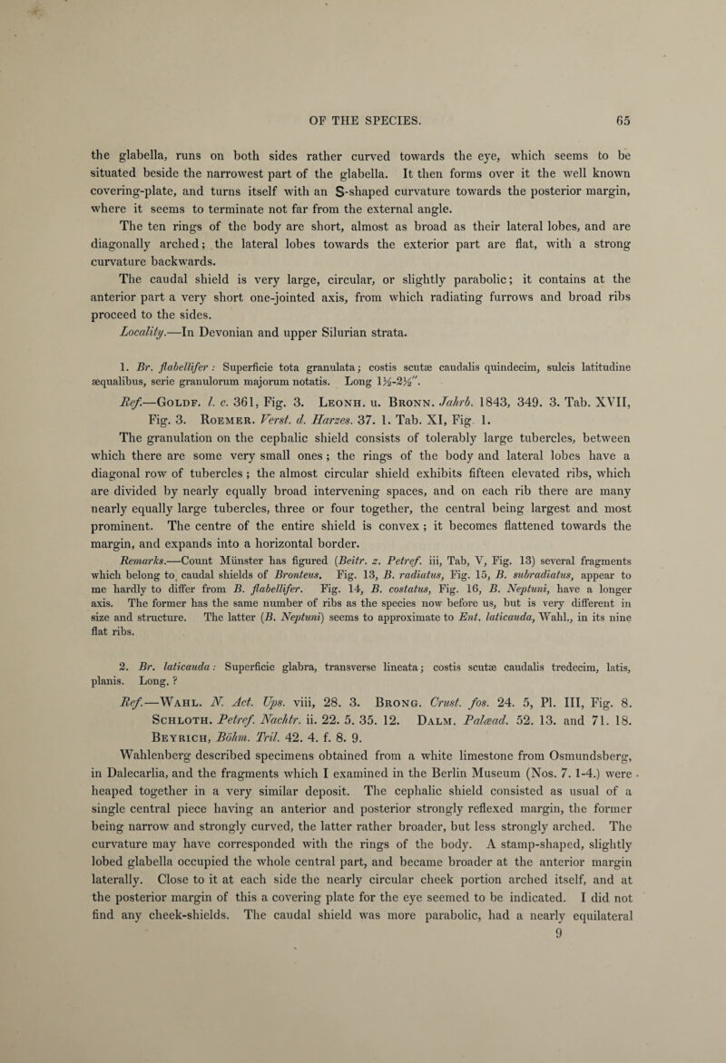 the glabella, runs on both sides rather curved towards the eye, which seems to be situated beside the narrowest part of the glabella. It then forms over it the well known covering-plate, and turns itself with an S-shaped curvature towards the posterior margin, where it seems to terminate not far from the external angle. The ten rings of the body are short, almost as broad as their lateral lobes, and are diagonally arched; the lateral lobes towards the exterior part are flat, with a strong curvature backwards. The caudal shield is very large, circular, or slightly parabolic; it contains at the anterior part a very short one-jointed axis, from which radiating furrows and broad ribs proceed to the sides. Locality.—In Devonian and upper Silurian strata. 1. Br. flabellifer : Superficie tota granulata; costis scutse caudalis quindecim, sulcis latitudine sequalibus, serie granulorum majorum notatis. Long 1/4-2%. Ref.—Goldf. 1. c. 361, Fig. 3. Leonh. u. Bronn. Jahrb. 1843, 349. 3. Tab. XVII, Fig. 3. Roemer. Verst, d. Harzes. 37. 1. Tab. XI, Fig. 1. The granulation on the cephalic shield consists of tolerably large tubercles, between which there are some very small ones ; the rings of the body and lateral lobes have a diagonal row of tubercles ; the almost circular shield exhibits fifteen elevated ribs, which are divided by nearly equally broad intervening spaces, and on each rib there are many nearly equally large tubercles, three or four together, the central being largest and most prominent. The centre of the entire shield is convex ; it becomes flattened towards the margin, and expands into a horizontal border. Remarks.—Count Münster has figured (Beitr. z. Petref. iii, Tab, V, Fig. 13) several fragments which belong to caudal shields of Bronteus. Fig. 13, B. radiatus, Fig. 15, B. subradiatus, appear to me hardly to differ from B. flabellifer. Fig. 14, B. costatus, Fig. 16, B. Neptuni, have a longer axis. The former has the same number of ribs as the species now before us, but is very different in size and structure. The latter [B. Neptuni) seems to approximate to Ent. laticauda, Wahl,, in its nine flat ribs. 2. Br. laticauda: Superficie glabra, transverse lineata; costis scutse caudalis tredecim, latis, planis. Long. ? Ref.—Wahl. N. Act. Ups. viii, 28. 3. Brong. Crust, fos. 24. 5, PI. Ill, Fig. 8. Schloth. Retref. Nachtr. ii. 22. 5. 35. 12. Dalm. Ralcead. 52. 13. and 71. 18. Bey rich, Rohm. Tril. 42. 4. f. 8. 9. Wahlenberg described specimens obtained from a white limestone from Osmundsberg, in Dalecarlia, and the fragments which I examined in the Berlin Museum (Nos. 7. 1-4.) were • heaped together in a very similar deposit. The cephalic shield consisted as usual of a single central piece having an anterior and posterior strongly reflexed margin, the former being narrow and strongly curved, the latter rather broader, but less strongly arched. The curvature may have corresponded with the rings of the body. A stamp-shaped, slightly lobed glabella occupied the whole central part, and became broader at the anterior margin laterally. Close to it at each side the nearly circular cheek portion arched itself, and at the posterior margin of this a covering plate for the eye seemed to be indicated. I did not find any cheek-shields. The caudal shield was more parabolic, had a nearly equilateral 9