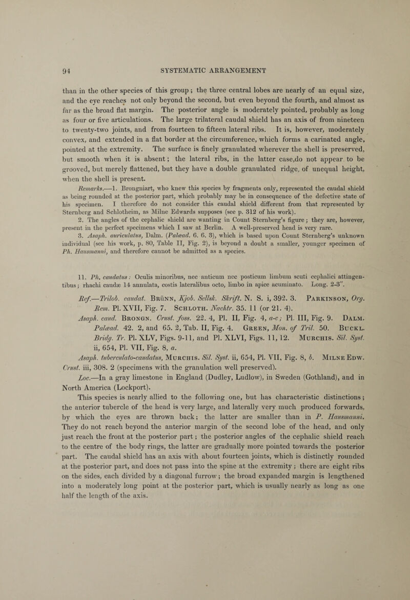 than in the other species of this group ; the three central lobes are nearly of an equal size, and the eye reaches not only beyond the second, but even beyond the fourth, and almost as far as the broad flat margin. The posterior angle is moderately pointed, probably as long as four or five articulations. The large trilateral caudal shield has an axis of from nineteen to twenty-two joints, and from fourteen to fifteen lateral ribs. It is, however, moderately convex, and extended in a flat border at the circumference, which forms a carinated angle, pointed at the extremity. The surface is finely granulated wherever the shell is preserved, but smooth when it is absent; the lateral ribs, in the latter case,do not appear to be grooved, but merely flattened, but they have a double granulated ridge, of unequal height, when the shell is present. Remarks.—1. Brongniart, who knew this species by fragments only, represented the caudal shield as being rounded at the posterior part, which probably may be in consequence of the defective state of his specimen. I therefore do not consider this caudal shield different from that represented by Sternberg and Schlotheim, as Milne Edwards supposes (see p. 312 of his work). 2. The angles of the cephalic shield are wanting in Count Sternberg’s figure; they are, however, present in the perfect specimens which I saw at Berlin. A well-preserved head is very rare. 3. Asaph, auriculatus, Dalm. (P ahead. 6. 6. 3), which is based upon Count Sternberg’s unknown individual (see his work, p. 80, Table II, Fig. 2), is beyond a doubt a smaller, younger specimen of Pit. Hausmanni, and therefore cannot be admitted as a species. 11. Ph. caudatus: Oculis minoribus, nec anticum nec posticum limbum scuti cephalici attingen- tibus; rhachi caudse 14 annulata, costis lateralibus octo, limbo in apice acuminato. Long. 2-3. Ref.—Trilob. caudat. Brünn, Kjob. Sellsk. Shrift. N. S. i, 392. 3. Parkinson, Org. Rem. PL XVII, Fig. 7. Schloth. Nachtr. 35. 11 (or 21. 4). Asaph, caud. Brongn. Crust, foss. 22. 4, PI. II, Fig. 4, a-c; PI. Ill, Fig. 9. Dalm. Palcead. 42. 2, and 65. 2, Tab. II, Fig. 4. Green, Mon. of Tril. 50. Buckl. Bridg. Tr. PI. XLY, Figs. 9-11, and PI. XLYI, Figs. 11, 12. Murchis. Sil. Sgst. ii, 654, PI. VII, Fig. 8, a. Asaph, tuberculato-caudatus, Murchis. Sil. Sgst. ii, 654, PI. VII, Fig. 8, b. Milne Edw. Crust, iii, 308. 2 (specimens with the granulation well preserved). Loc.—In a gray limestone in England (Dudley, Ludlow), in Sweden (Gothland), and in North America (Lockport). This species is nearly allied to the following one, but has characteristic distinctions ; the anterior tubercle of the head is very large, and laterally very much produced forwards, by which the eyes are thrown back; the latter are smaller than in P. Hausmanni. They do not reach beyond the anterior margin of the second lobe of the head, and only just reach the front at the posterior part; the posterior angles of the cephalic shield reach to the centre of the body rings, the latter are gradually more pointed towards the posterior part. The caudal shield has an axis with about fourteen joints, which is distinctly rounded at the posterior part, and does not pass into the spine at the extremity ; there are eight ribs on the sides, each divided by a diagonal furrow; the broad expanded margin is lengthened into a moderately long point at the posterior part, which is usually nearly as long as one half the length of the axis.