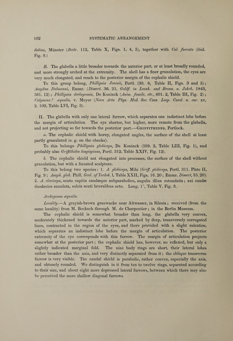 dubius, Miinster (Beitr. 112, Table X, Figs. 1, 4, 5), together with Cal. furcata (ibid. Fig. 9.) B. The glabella a little broader towards the anterior part, or at least broadly rounded, and more strongly arched at the extremity. The shell has a finer granulation, the eyes are very much elongated, and reach to the posterior margin of the cephalic shield. To this group belong, Phillipsia Jonesii, Porti. (30. 8, Table II, Figs. 3 and 5); Asaphus Dalmanni, Emmr. (Dissert. 36. 21, Gold/, in Leonh. and Bronn, n. Jahrb. 1843, 561. 12) ; Phillipsia derlayensis, De Köninck {Anim, fossile, etc., 601. 2, Table III, Fig. 2) ; Calymene ? cequalis, v. Meyer (Nova Acta Phys. Med. Soc. Caes. Leop. Carol, n. cur. xv, 2. 100, Table LYI, Fig. 3). II. The glabella with only one lateral furrow, which separates one indistinct lobe before the margin of articulation. The eye shorter, but higher, more remote from the glabella, and not projecting so far towards the posterior part.—Griffithides, Portlock. a. The cephalic shield with horny, elongated angles, the surface of the shell at least partly granulated (e. g. on the cheeks). To this belongs Phillipsia globiceps, De Köninck (599. 2, Table LIII, Fig. 1), and probably also Griffithides lonyispinus, Porti. 312. Table XXIY, Fig. 12). b. The cephalic shield not elongated into processes, the surface of the shell without granulation, but with a lineated sculpture. To this belong two species: 1. A. globiceps, Mihi [Griff, globiceps, Porti. 311. Plate II, Fig. 9 ; Asaph, glob. Phill. Geol. ofYorksh. 1, Table XXII, Figs. 16. 20 ; Emmr. Dissert, 35. 20). 2. A. claviceps, scuto capitis caudaeque subparabolico, angulis illius rotundatis ; axi caudse duodecies annulata, sulcis scuti lateralibus octo. Long. I, Table V, Fig. 3. Archegonus cequalis. Locality.—A grayish-brown grauwacke near Altwasser, in Silesia ; received (from the same locality) from M. Bocksch through M. de Charpentier ; in the Berlin Museum. The cephalic shield is somewhat broader than long, the glabella very convex, moderately thickened towards the anterior part, marked by deep, transversely corrugated lines, contracted in the region of the eyes, and there provided with a slight sulcation, which separates an indistinct lobe before the margin of articulation. The posterior extremity of the eye corresponds with this furrow. The margin of articulation projects somewhat at the posterior part; the cephalic shield has, however, no reflexed, but only a slightly indicated marginal fold. The nine body rings are short, their lateral lobes rather broader than the axis, and very distinctly separated from it; the oblique transverse furrow is very visible. The caudal shield is parabolic, rather convex, especially the axis, and obtusely rounded. We distinguish in it from ten to twelve rings, separated according to their size, and about eight more depressed lateral furrows, between which there may also be perceived the more shallow diagonal furrows.