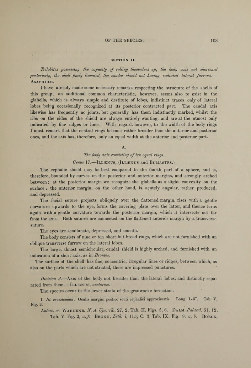 SECTION II. Trilobites possessing the capacity of rolling themselves up, the body axis not shortened posteriorly, the shell finely lineated, the caudal shield not having radiated lateral furrows.— AsAPHIDiE. I have already made some necessary remarks respecting the structure of the shells of this group; an additional common characteristic, however, seems also to exist in the glabella, which is always simple and destitute of lobes, indistinct traces only of lateral lobes being occasionally recognized at its posterior contracted part. The caudal axis likewise has frequently no joints, but generally has them indistinctly marked, whilst the ribs on the sides of the shield are always entirely wanting, and are at the utmost only indicated by fine ridges or lines. With regard, however, to the width of the body rings I must remark that the central rings become rather broader than the anterior and posterior ones, and the axis has, therefore, only an equal width at the anterior and posterior part. A. The body axis consisting of ten equal rings. Genus 17.—Ill^enus, (Ill^nus and Bumastes.) The cephalic shield may be best compared to the fourth part of a sphere, and is, therefore, bounded by curves on the posterior and anterior margins, and strongly arched between; at the posterior margin we recognize the glabella as a slight convexity on the surface ; the anterior margin, on the other hand, is acutely angular, rather produced, and depressed. The facial suture projects obliquely over the flattened margin, rises with a gentle curvature upwards to the eye, forms the covering plate over the latter, and thence turns again with a gentle curvature towards the posterior margin, which it intersects not far from the axis. Both sutures are connected on the flattened anterior margin by a transverse suture. The eyes are semilunate, depressed, and smooth. The body consists of nine or ten short but broad rings, which are not furnished with an oblique transverse furrow on the lateral lobes. The large, almost semicircular, caudal shield is highly arched, and furnished with an indication of a short axis, as in Brontes. The surface of the shell has fine, concentric, irregular lines or ridges, between which, as also on the parts which are not striated, there are impressed punctures. Division A.—Axis of the body not broader than the lateral lobes, and distinctly sepa¬ rated from them.—Ill^enus, auctorum. The species occur in the lower strata of the grauwacke formation. 1. III. crassicauda: Oculis margini postico scuti ceplialici approximatis. Long. 1-3. Tab. V, Fig. 2. Entom. er. Wahlenb. IV. A. Ups. viii, 27. 2, Tab. II, Figs. 5, 6. Dalm. Palcead. 51. 12, Tab. V. Fig. 2, a,f. Bronn, Leth. i, 115, C. 3, Tab. IX. Fig. 9, a, b. Boeck,
