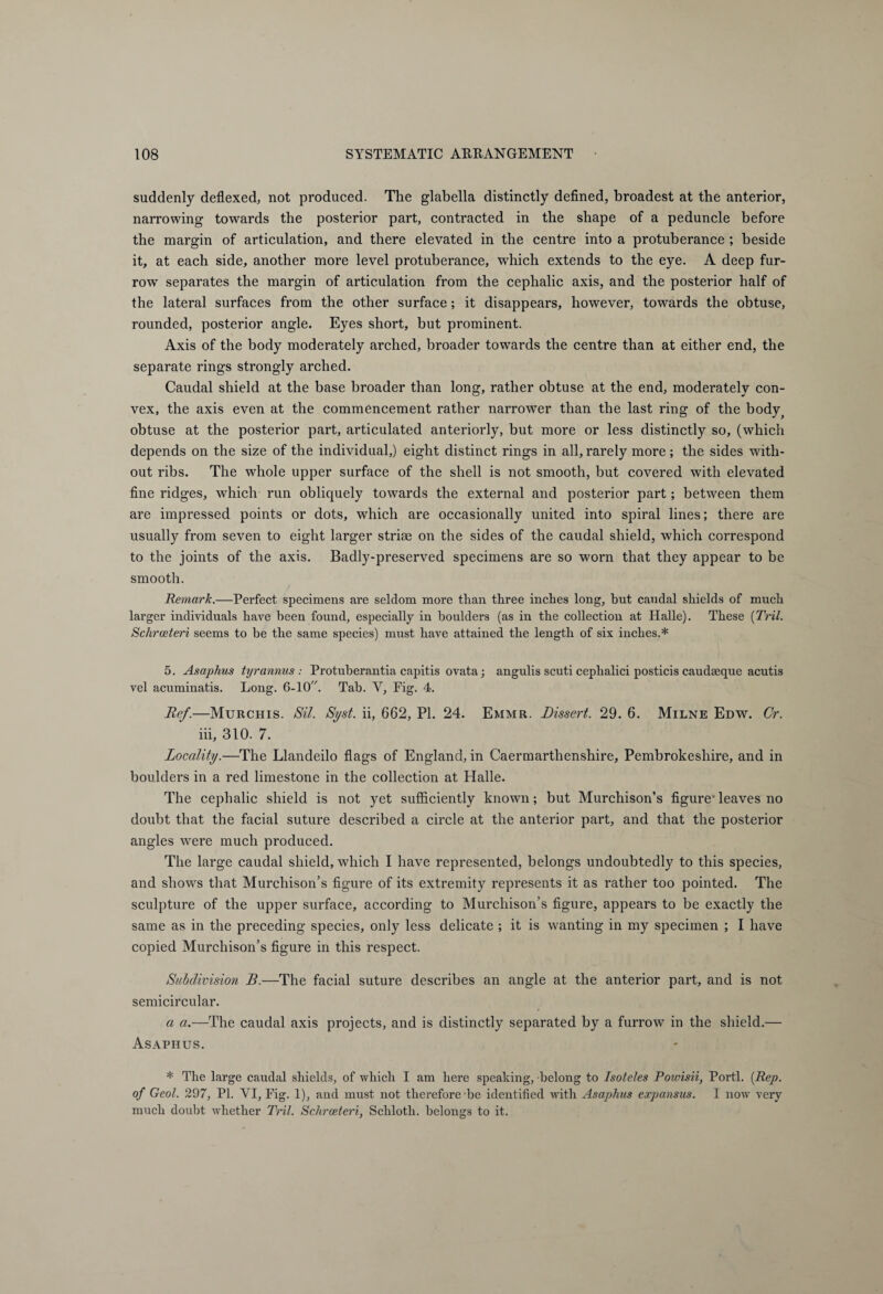 suddenly deflexed, not produced. The glabella distinctly defined, broadest at the anterior, narrowing towards the posterior part, contracted in the shape of a peduncle before the margin of articulation, and there elevated in the centre into a protuberance ; beside it, at each side, another more level protuberance, which extends to the eye. A deep fur¬ row separates the margin of articulation from the cephalic axis, and the posterior half of the lateral surfaces from the other surface; it disappears, however, towards the obtuse, rounded, posterior angle. Eyes short, but prominent. Axis of the body moderately arched, broader towards the centre than at either end, the separate rings strongly arched. Caudal shield at the base broader than long, rather obtuse at the end, moderately con¬ vex, the axis even at the commencement rather narrower than the last ring of the body^ obtuse at the posterior part, articulated anteriorly, but more or less distinctly so, (which depends on the size of the individual,) eight distinct rings in all, rarely more; the sides with¬ out ribs. The whole upper surface of the shell is not smooth, but covered with elevated fine ridges, which run obliquely towards the external and posterior part; between them are impressed points or dots, which are occasionally united into spiral lines; there are usually from seven to eight larger striae on the sides of the caudal shield, which correspond to the joints of the axis. Badly-preserved specimens are so worn that they appear to be smooth. Remark.—Perfect specimens are seldom more than three inches long, hut caudal shields of much larger individuals have heen found, especially in boulders (as in the collection at Halle). These (Tril. Schrceteri seems to be the same species) must have attained the length of six inches.* 5. Asaphus tyrannus : Protuberantia capitis ovata; angulis scuti cephalici posticis caudseque acutis vel acuminatis. Long. 6-10. Tab. Y, Fig. 4. Ref.—Murchis. Sil. Syst. ii, 662, PI. 24. Emmr. Dissert. 29. 6. Milne Edw. Cr. iii, 310. 7. Locality.—The Llandeilo flags of England, in Caermarthenshire, Pembrokeshire, and in boulders in a red limestone in the collection at Halle. The cephalic shield is not yet sufficiently known; but Murchison’s figure' leaves no doubt that the facial suture described a circle at the anterior part, and that the posterior angles were much produced. The large caudal shield, which I have represented, belongs undoubtedly to this species, and shows that Murchison’s figure of its extremity represents it as rather too pointed. The sculpture of the upper surface, according to Murchison’s figure, appears to be exactly the same as in the preceding species, only less delicate ; it is wanting in my specimen ; I have copied Murchison’s figure in this respect. Subdivision B.—The facial suture describes an angle at the anterior part, and is not semicircular. a a.—The caudal axis projects, and is distinctly separated by a furrow in the shield.— Asaphus. * The large caudal shields, of which I am here speaking, belong to Isoteles Powisii, Porti. {Rep. of Geol. 297, PL YI, Fig. 1), and must not therefore be identified with Asaphus expansus. I now very much doubt whether Tril. Schrceteri, Schloth. belongs to it.