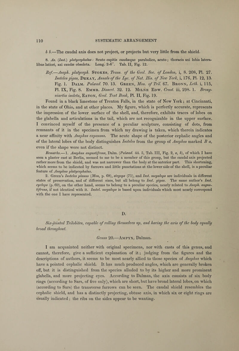b b.—The caudal axis does not project, or projects but very little from the shield. 8. As. (Isot.) platycephalus: Scuto capitis caudaeque parabolico, acuto; thoracis axi lobis latera- libus latiori, axi caudte obsoleta. Long. 2-6. Tab. II, Fig. 12. Ref.—Asaph, platyceph. Stokes, Trans, of the Geol. Soc. of London, i, 8. 208, PL 27. Isoteles gigas, Dekay, Annals of the Lye. of Nat. His. of New York, i, 176, PI. 12, 13. Fig. 1. Dalm. Palcead. 70. 13. Green, Mon. of Tril. 67. Bronn, Leth. i, 115, PI. IX, Fig. 8. Emmr. Dissert. 32. 12. Milne Edw. Crust, iii, 298. 1. Brong- niartia isoleta, Eaton, Geol. Text Book, PI. II, Fig. 19. Found in a black limestone of Trenton Falls, in the state of New York ; at Cincinnati, in the state of Ohio, and at other places. My figure, which is perfectly accurate, represents the impression of the lower surface of the shell, and, therefore, exhibits traces of lobes on the glabella and articulations in the tail, which are not recognizable in the upper surface. * I convinced myself of the presence of a peculiar sculpture, consisting of dots, from remnants of it in the specimen from which my drawing is taken, which therein indicates a near affinity with Asaphus expansus. The acute shape of the posterior cephalic angles and of the lateral lobes of the body distinguishes Isoteles from the group of Asaphus marked B a, even if the shape were not distinct. Remarks.—1. Asaphus angustifrons, Dalm. (Palcead. 44. 5, Tab. Ill, Fig. 2, a, b), of which I have seen a plaster cast at Berlin, seemed to me to be a member of this group, but the caudal axis projected rather more from the shield, and wras not narrower than the body at the anterior part. This shortening, which seems to be indicated by furrows and little punctations at the lower side of the shell, is a peculiar feature of Asaphus platycephalus. 2. Green’s Isoteles planus {Mon, p. 68), stegops (71), and Isot. megalops are individuals in different states of preservation, and of different sizes, but all belong to Isot. gigas. The same author’s Isot. cyclops (p. 69), on the other hand, seems to belong to a peculiar species, nearly related to Asaph, angus¬ tifrons, if not identical Avith it. Isot el. megalops is based upon individuals which most nearly correspond with the one I have represented. D. Six-fointed Trilobites, capable of rolling themselves up, and having the axis of the body equally broad throughout. » Genus 20.—Ampyx, Dalman. I am acquainted neither with original specimens, nor with casts of this genus, and cannot, therefore, give a sufficient explanation of it; judging from the figures and the descriptions of authors, it seems to be most nearly allied to those species of Asaphus which have a pointed cephalic shield. It has much produced angles, which are generally broken off, but it is distinguished from the species alluded to by its higher and more prominent glabella, and more projecting eyes. According to Dalman, the axis consists of six body rings (according to Sars, of five only), which are short, but have broad lateral lobes, on which (according to Sars) the transverse furrows can be seen. The caudal shield resembles the cephalic shield, and has a distinctly projecting, obtuse axis, in which six or eight rings are usually indicated; the ribs on the sides appear to be wanting.