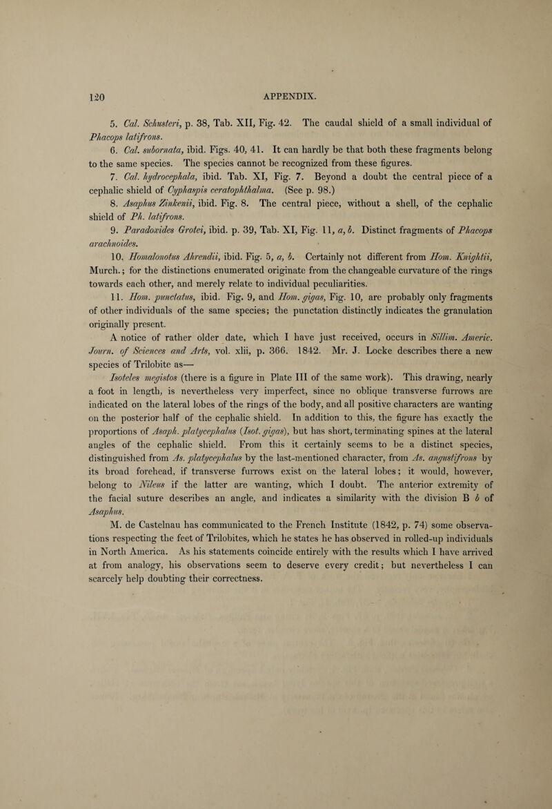 5. Cal. Schusteri, p. 38, Tab. XII, Fig. 42. The caudal shield of a small individual of Phacops latifrons. 6. Cal. subornata, ibid. Figs. 40, 4L It can hardly be that both these fragments belong to the same species. The species cannot be recognized from these figures. 7. Cal. hydrocephala, ibid. Tab. XI, Fig. 7. Beyond a doubt the central piece of a cephalic shield of Cyphaspis ceratophthalma. (See p. 98.) 8. Asaphus Zinkenii, ibid. Fig. 8. The central piece, without a shell, of the cephalic shield of Ph. latifrons. 9. Paradoxides Grotei, ibid. p. 39, Tab. XI, Fig. 11, a,b. Distinct fragments of Phacops arachnoides. 10. Homalonotus Ahrendii, ibid. Fig. 5, a, b. Certainly not different from Horn. Kniyhtii, Murch.; for the distinctions enumerated originate from the changeable curvature of the rings towards each other, and merely relate to individual peculiarities. 11. Horn, punctatus, ibid. Fig. 9, and Horn, giyas, Fig. 10, are probably only fragments of other individuals of the same species; the punctation distinctly indicates the granulation originally present. A notice of rather older date, which I have just received, occurs in Sillim. Americ. Journ. of Sciences and Arts, vol. xlii, p. 366. 1842. Mr. J. Locke describes there a new species of Trilobite as— Isoteles meyistos (there is a figure in Plate III of the same work). This drawing, nearly a foot in length, is nevertheless very imperfect, since no oblique transverse furrows are indicated on the lateral lobes of the rings of the body, and all positive characters are wanting on the posterior half of the cephalic shield. In addition to this, the figure has exactly the proportions of Asaph, platycephalus (Isot. yiyas), but has short, terminating spines at the lateral angles of the cephalic shield. From this it certainly seems to be a distinct species, distinguished from As. platycephalus by the last-mentioned character, from As. anyustifrons by its broad forehead, if transverse furrows exist on the lateral lobes; it would, however, belong to Nileus if the latter are wanting, which I doubt. The anterior extremity of the facial suture describes an angle, and indicates a similarity with the division B b of Asaphus. M. de Castelnau has communicated to the French Institute (1842, p. 74) some observa¬ tions respecting the feet of Trilobites, which he states he has observed in rolled-up individuals in North America. As his statements coincide entirely with the results which I have arrived at from analogy, his observations seem to deserve every credit; but nevertheless I can scarcely help doubting their correctness.