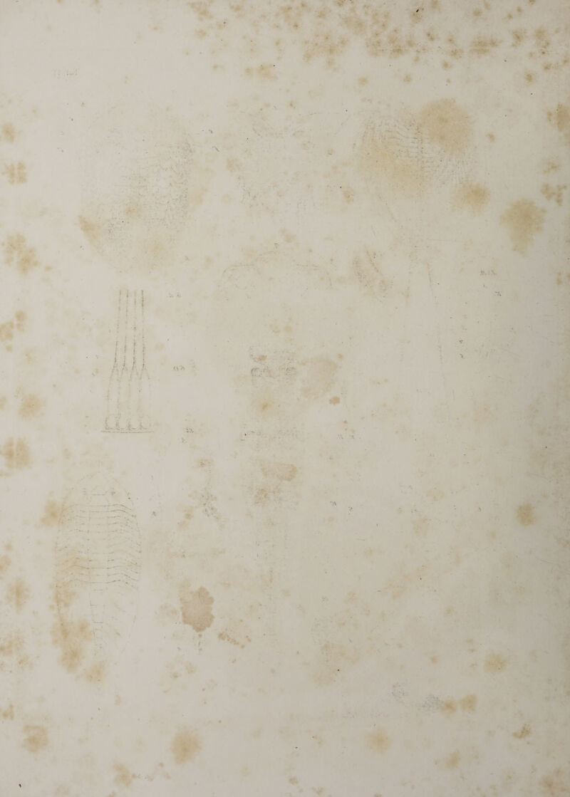 V I • • . .#• * ■ V ' , ■ * • ■ “ s- « k§. •T- k 1