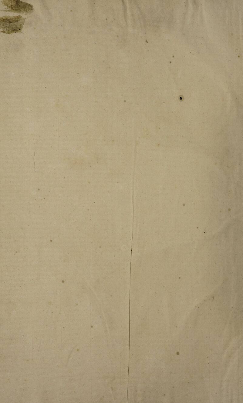 f \ 4. t I * • > / n * *■>* r \ % \ \ V \ I 1 ✓ \ ft - -*» f 4 . t . \ \ V \ # / * ■ / t % \ ; \ ■ >