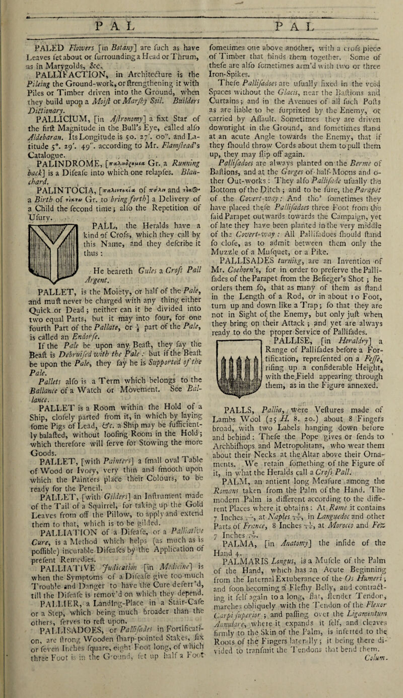 PALED Flowers [in Botany] are fuch as have Leaves i'et about or furrounding a Head or Thrum, as in Marygolds, &c., PALLlFACTION, in Architecture is the Piking the Ground-work, or (Lengthening it with Piles or Timber driven into the Ground, when they build upon a Moijl or Marfhy Soil. Builders Didiionary. PALLIClUM, [in AJironomy'] a fixt Star of the firft Magnitude in the Bull’s Eye, called alio Aldebaran. Its Longitude is 50. 27'. 00. and La¬ titude 50. 29'. 49. according to Mr. Flamjlead's Catalogue. ,, . PALINDROME, [*xXnSpmx Gr. a Running back] is a Difeafe into which one relapfes. Blan¬ chard. , . • . , .. PALINTOCIA, of xdxn and a Birth of Mru Gr. to bring forth] a Delivery of a Child the fecond time; alfo the Repetition of Ufury. • ; PALL, the Heralds have a kind of Crofs, which they call by this Name, and they deferibe it thus: . He beareth Gules a Crofs Pall Argent. PALLET, is the Moiety, or half of the Pale, and muft never be charged with any thing either Quick-or Dead ; neither can it be divided into two equal Parts* but it may into four, for one fourth Part of the Pdilate, or \ part of the Pale, is called an Endorfe. If the Pale be upon any Beaft, they fay the Bead is Debruifed with the Pale : but if the Bead be upon the Pale, they fay he is Supported of the Pale. Pallets alfo is a Term which belongs to the Ballance of a Watch or Movement. See Ba¬ lance. ; PALLET is a Room within the Hold of a Ship, clofely parted from it, in which by laying fome Pigs of Lead, &c. a Ship may be fufficient- ly balafted, without loofing Room in the Hold; which therefore will ferve for Stowing the more Goods. PALLET, [with Painters] a fmall oval Table of Wood or Ivory, very thin and fmooth upon which the Painters place their Colours, to be ready for the Pencil. PALLET, [with Gilders] an Inilrument made of the Tail of a Squirrel, for taking up the Gold Leaves from off the Pillow, to apply and extend them to that, which is to be gilded. PALLIATION of a Difeafe, or a Palliative Cure, is a Method which helps (as much as is poflible) incurable Difeafes by the Application of prefent Remedies. PALLIATIVE Judication [in Medicine] is when the Symptoms of a Difeafe give too much Trouble and Danger to have the Cure deferr’d, till the Difeafe is remov’d on which they depend. PALMER,-a Landing-Place in a Stair-Cafe or a Step, which being much broader than the others, ierves to reft upon. PALLISADOES, or Pallifades in Fortificati¬ on, are ftrong Wooden (harp-pointed Stakes, fix or feven Inches fquarc, eight Foot long, of which thfec Foot is in the G-ound, let up half a Foot fometimes one above another, with a crofs piece of Timber that binds them together. Some of thefe arc alfo fometimes arm’d with two or three Iron-Spikes. Thefe Pallifadoes are ufually fixed in the voief Spaces without the Glacis, near the Baftions and Curtains; and in the Avenues of all luch Pofts as are liable to be furprized by the Enemy, of carried by AlTaulf. Sometimes they are driven downright in the Ground, and fometimes Hand at an acute Angle towards the Enemy* that if they (hould throw Cords about them to pull them up, they may flip off again. Pallifadoes are always planted on the Berrne of Baftions, and at. the Gorges of half-Moons and o- ther Out- works: They alfo P alii fide ulually tlvo Bottom of the Ditch ; and to be fure, th e Parapet of the Covert-way: And tho’ fometimes they have placed thefe Pallifadoes three Foot from the (aid Parapet outwards towards the Campaign, yet of late they have been planted in the very middle of the Covert-way : All Pallifadoes fhould ftand fo clofe, as to admit between them only the Muzzle of a Mufquet, or a Pike. PALLISADES turning, are an Invention of Mr. Coehorn's, for in order to preferve the Pall i- fades of the Parapet from the Befieger’s Shot ; he orders them fo, that as many of them as ftand in the Length of a Rod, or in about 10 Foot, turn up and down like a Trap; fo that they are not in Sight of the Enemy, but only juft when, they bring op their Attack ; and yet are always ready to do the proper Service of Pallifades. PALLISE, [in Heraldry] a Range of Pallifades before a For¬ tification, reprefented on a Fejfe, rifing up a confiderable Height* with theJffield appearing through them, as in the Figure annexed. PALLS, Pallia, / Were Vefturcs made of Lambs Wool (25 H. 8. 20.) about 8 Fingers broad, with two Labels hanging down before and behind ; Thefe the Pope gives or fends to Archbifhops and Metropolitans, who wear them about their Necks at the Altar above their Orna¬ ments. We retain fomething of the Figure of it, in what the Heralds call a Crofs Pall. PALM, an antient long Meafure among the Romans taken from the Palm of the Hand. The modern Palm is different according to the diffe¬ rent Places where it obtains: At Rome it contains 7 Inches r-S at Naples tv, in Languedoc and other Parts of France, 8 Inches tv, at Morocco and Fez 7 Inches tL PALMA, [in Anatomy] the infide of the Hand 4. PALMARIS Longus, is a Mufcle of the Palm of the Hand, which has an Acute Beginning from the Internal Extuberance of the Os Humeri; and foon becoming a Flefhy Belly, and contracl- ing it felf again to a long, flar, flender Tendon, marches obliquely with the Tendon of the Flexor Carpi fuperior ; and palling over the Ligament urn Annulare, where it expands it felf, and cleaves firmly to the Skin of the Palm, is inferred to the. Roots of the Fingers laterally; it being there di¬ vided to tranfmit the Tendons that bend them.