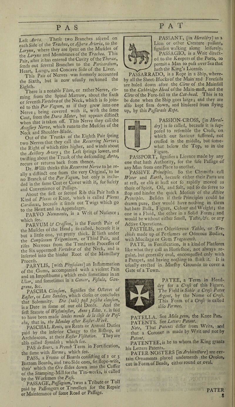 PAS Left Aorta. Thefe two Branches afcend on each Side of the Trachea, or Afpera Arteria, to the Larynx, where they are fpent on the Mufcles of the Larynx and Membranes of the Trachea. This Pair, after it has entered the Cavity of the Thorax, fends out feveral Branches to the Pericardium, Heart, Lungs, and Concave Side of the Liver. This Pair of Nerves was formerly accounted the Sixth, but is now ufuaily reckoned the Eighth. . There is a notable Fibre, or rather Nerve, co¬ ming from the Spinal Marrow, about the fixth or feventh Vertebra of the Neck, which is fo join¬ ed to this Par Vagum, as if they grew into one Nerve ; being covered with it, with the fame Coat from the Dura Mater, but appears diftinCt when that is taken off. This Nerve they call the Acceffory Nerve, which runs to the Mufcles of the Neck and Shoulder-Blade. . . . Out of the Trunks of the Eighth Pair fpring two Nerves that they call the Recurring Nerves; the Ricrht of which rifes higher, and winds about the Axillary Artery ; the Left fprings lower, and twilling about the Trunk of the defcending Aorta, recurs or returns back fiom thence. Dr Willis thinks this Recurrent Nerve to be re¬ ally a’diflindl one from the very Original, to be no Branch of the Par Vagum, but only is inclu¬ ded in the fame Coat or Cover with it, for Safety and Convenience of Paffage. About the firft or fecond Rib this Pair hath a Kind of Plexus or Knot, which is called Plexus Cardiacus, becaufe it fends out Twigs which go to the Heart and its Appendages'. _ PARVO Nocumento, is a Writ of Nufance ; WlpAllVUM id Crajfum, is the Fourth Pair of the Mufcles of the Head; fo called, becaufe it is but a little one, yet pretty thick. It lieth under the Complexum Trigemwum, or Third Pair, and rifes Nervous from the Tranfverfe Procefles of the Six uppermoft Vertebra: of the Neck, and is inferted into the hinder Root of the Mamillary Procefs. „ . _ n PARYLIS, [with Phyficians] an Inflammation of the Gums, accompanied with a violent Pain and an Impofthume ; which ends fometimes in an Ulcer, and fometimes in a Cancer, Fijlula, Gan¬ grene, &c. . PASCHA Claufum, fignifies the Odtaves of Eafter, or Low Sunday, which clofes or concludes that Solemnity. Die (tali) pojl pafcha claufum, is a Date in fome of our old Deeds. And the firft Statute of Weftminjler, Anno 3 Edw. r. is faid to have been made lendes mende de la clofe de Paf- che, that is, the Monday after Eafer-Week. _ PASCHAL Rents, are Rents or Annual Duties paid by the inferior Clergy to the Bifhop, or Archdeacon, at their Eajler Viftation. They are alfo called Synodals; which fee. _ . PAS de Sours, a French Term in Fortification, the fame with Berme ; which fee. PASS, a Frame of Boards confifting of 2 or 3 Bottom Boards, and two Side ones, fetflope-wife, thro’ which the Ore Aides down into the Coffer of the Stamping-Mill for the Tin-works, is called by the Workmen the Pafs. PASSAGE, Pajfagiumfttwas a Tribute or Toll paid by Paffengers or Travellers for the Repair ©r Maintenance of fome Road or Paft'age. 1 PASSANT, [in Heraldry] as a Lion or other Creature palfant, fignifies walking along leifurely. PASSAGIO, is a Writ direct¬ ed to the Keepers of the Ports, to permit a Man to pafs over Sea that v hath the King’s Licenfe. PASSARRADO, is a Rope in a Ship, where¬ by all the Sheet-Blocks of the Main'and Forefails are haled down after the Clew of the Mainfail to the Cubbridge- Head of the Main-maft, and the Clew of the Fore-fail to the Cat-head. This is to, be done when the Ship goes large; and they are alfo kept firm down, and hindered from flying up, by this Pajfarado Rope. PASSION-CROSS, [in Heral¬ dry'] is fo called, becaufe it is fup- pofed to refemble the Crofs, on which our Saviour fuffered, not croffed in the middle, but fome- what below the Top, as in the Figure. PASSPORT, fignifies a Licence made by any one that hath Authority, for the fate Paflage of any Man from one Place to another. PASSIVE Principles. So the Chymiffs call Water and Earth, becaufe either their Parts are at reft, or elfe at leaft not fo rapidly moved as thofe of Spirit, Oil, and Salt, apd fo do ferve to flop and hinder the quick Motion of the Aflive Principles. Befides if thefe Principles could be drawn pure, they would have nothing in them but bare Bulk, Figure, Colour and Weight; the one in a Fluid, the other in a Solid Form; and would be without either Smell, Tafte,Chr. or any ACtive Operations. PASTILIS, are Odoriferous Tables, or Tro- chisks made up of Perfumes or Odorous Bodies, with Mucilage or Gum Tragacanth. PATE, in Fortification, is a kind of Platform like what they call an Horfefhoe, not always re¬ gular, but generally oval, encompaffed only with a Parapet, and having nothing to flank it. It is ufuaily ereCled in Marfhy Grounds to cover a Gate of a Town. PATEE, a Term in Heral¬ dry for a Crofs of this Figure. The Field is Sable a Crofs Patee Argent, by the Name of Crofs. This Form of a Crofs is called alfo For me e. PATELLA. See Mola genu, the Knee Pan. PATENTS. See Letters Patent. Note That Patents differ from Writs, and that ’a Coroner is made by Writ and not by Patent. PATENTEE, is he to whom the King grants his Letters Patents. PATER NOSTERS [in Architecture] are cer¬ tain Ornaments placed underneath the Ovolos, cut inForm of Beads, either round or ,oval. PATER