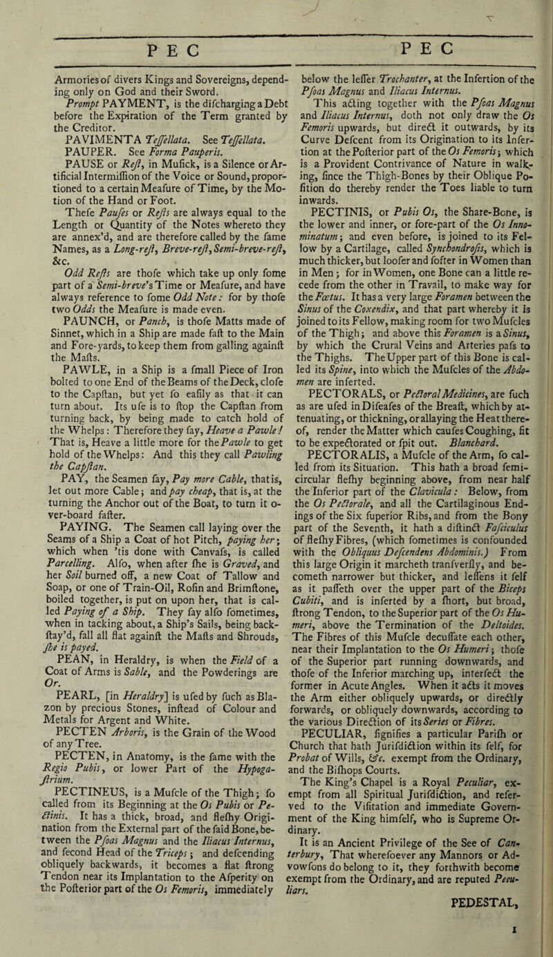 PEC PEC Armories of divers Kings and Sovereigns, depend¬ ing only on God and their Sword. Prompt PAYMENT, is the difchargingaDebt before the Expiration of the Term granted by the Creditor. PAVIMENTA Tejfellata. See Tejfellata. PAUPER. See Forma Pauperis. PAUSE or Ref, in Mulick, is a Silence or Ar¬ tificial Intermiflion of the Voice or Sound,propor¬ tioned to a certain Meafure of Time, by the Mo¬ tion of the Hand or Foot. Thefe Paufes or Rejls are always equal to the Length or Quantity of the Notes whereto they are annex’d, and are therefore called by the fame Names, as a Long-reji, Breve-ref,Semi-breve-ref, &c. Odd Refs are thofe which take up only fomp part of a Semi-breve’sTime or Meafure, and have always reference to fome Odd Note: for by thofe two Odds the Meafure is made even. PAUNCH, or Panch, is thofe Matts made of Sinnet, which in a Ship are made fall to the Main and Fore-yards, to keep them from galling againfl: the Marts. PAWLE, in a Ship is a fmall Piece of Iron bolted to one End of the Beams of the Deck, clofe to the Capftan, but yet fo eafily as that it can turn about. Its ufe is to flop the Capftan from turning back, by being made to catch hold of the Whelps: Therefore they fay, Heave a Pawle ! That is. Heave a little more for the Pawle to get hold of the Whelps: And this they call Pawling the Capjlan. PAY, the Seamen fay, Pay more Cable, that is, let out more Cable; and pay cheap, that is, at the turning the Anchor out of the Boat, to turn it o- ver-board farter. PAYING. The Seamen call laying over the Seams of a Ship a Coat of hot Pitch, paying her\ which when ’tis done with Canvafs, is called Parcelling. Alfo, when after fhe is Graved, and her &?//burned off, a new Coat of Tallow and Soap, or one of Train-Oil, Rofin and Brimftone, boiled together, is put on upon her, that is cal¬ led Paying of a Ship. They fay alfo fometimes, when in tacking about, a Ship’s Sails, being back- ftay’d, fall all flat againfl; the Marts and Shrouds, Jhe is payed. PE AN, in Heraldry, is when the Field of a Coat of Arms is Sable, and the Powderings are Or. PEARL, [in Heraldry] is ufed by fuch as Bla¬ zon by precious Stones, inftead of Colour and Metals for Argent and White. PECTEN Arboris, is the Grain of the Wood of any Tree. PECTEN, in Anatomy, is the fame with the Regio Pubis, or lower Part of the Hypoga- flrium. PECTINEUS, is a Mufcle of the Thigh; fo called from its Beginning at the Os Pubis or Pe¬ lf inis. It has a thick, broad, and flefhy Origi¬ nation from the External part of the faid Bone, be¬ tween the Pfoas Magnus and the Iliacus Internus, and fecond Head of the Triceps; and defcending obliquely backwards, it becomes a flat ftrong Tendon near its Implantation to the Afperity on the Pofterior part of the Os Femoris, immediately below the leffer Trochanter, at the Infertion of the Pfoas Magnus and Iliacus Internus. This adling together with the Pfoas Magnus and Iliacus Internus, doth not only draw the Os Femoris upwards, but diredt it outwards, by its Curve Defcent from its Origination to its Infer¬ tion at the Pofterior part of the Os Femoris-, which is a Provident Contrivance of Nature in want¬ ing, fince the Thigh-Bones by their Oblique Po- fition do thereby render the Toes liable to turn inwards. PECTINIS, or Pubis Os, the Share-Bone, is the lower and inner, or fore-part of the Os Inno- minatutn-, and even before, is joined to its Fel¬ low by a Cartilage, called Synchondrofs, which is much thicker, but loofer and fofter in Women than in Men; for in Women, one Bone can a little re¬ cede from the other in Travail, to make way for the Foetus. It has a very large Foramen between the Sinus of the Coxendix, and that part whereby it is joined toits Fellow, making room for twoMufcles of the Thigh; and above this Foramen is a Sinus, by which the Crural Veins and Arteries pafs to the Thighs. The Upper part of this Bone is cal¬ led its Spine, into which the Mufcles of the Abdo¬ men are inferted. PECTORALS, or Pelf oral Medicines, are fuch as are ufed inDifeafes of the Breaft, which by at¬ tenuating, or thickning, orallaying the Heat there¬ of, render the Matter which caufes Coughing, fit to be expedlorated or fpit out. Blanchard. PECTORALIS, a Mufcle of the Arm, fo cal¬ led from its Situation. This hath a broad femi- circular flefhy beginning above, from near half the Inferior part of the Clavicula : Below, from the Os Pefiorale, and all the Cartilaginous End¬ ings of the Six fuperior Ribs, and from the Bony part of the Seventh, it hath a diftindl Fafciculus of flefhy Fibres, (which fometimes is confounded with the Obliquus Defcendens Abdominis.) From this large Origin it marcheth tranfverily, and be- cometh narrower but thicker, and leffens it felf as it paffeth over the upper part of the Biceps Cubiti, and is inferted by a fhort, but broad, ftrong Tendon, to the Superior part of the Os Hu¬ meri, above the Termination of the Deltoides. The Fibres of this Mufcle decuffate each other, near their Implantation to the Os Humeri; thofe of the Superior part running downwards, and thofe of the Inferior marching up, interfedl the former in Acute Angles. When it adts it moves the Arm either obliquely upwards, or diredtly forwards, or obliquely downwards, according to the various Diredlion of its Series ox Fibres. PECULIAR, fignifies a particular Parifh or Church that hath Jurifdidlion within its felf, for Probat of Wills, &c. exempt from the Ordinary, and the Bifhops Courts. The King’s Chapel is a Royal Peculiar, ex¬ empt from all Spiritual Jurifdidlion, and refer- ved to the Vifitation and immediate Govern¬ ment of the King himfelf, who is Supreme Or¬ dinary. It is an Ancient Privilege of the See of Can* terbury, That wherefoever any Mannors or Ad- vowfons do belong to it, they forthwith become exempt from the Ordinary, and are reputed Pecu¬ liars. PEDESTAL,