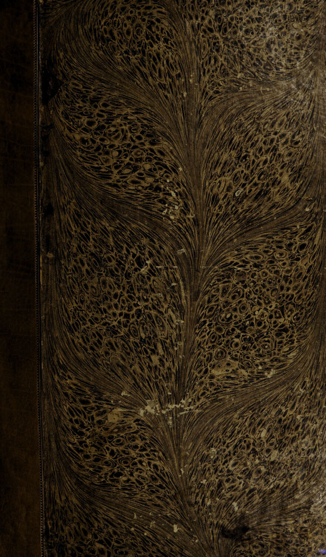 digitised image 1