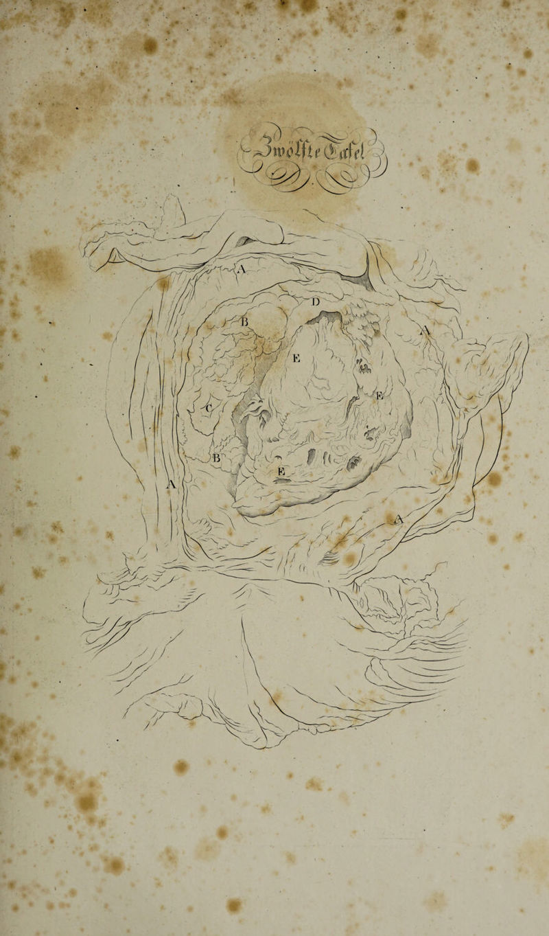 4T' ' *• !■ vl- M 4 I *