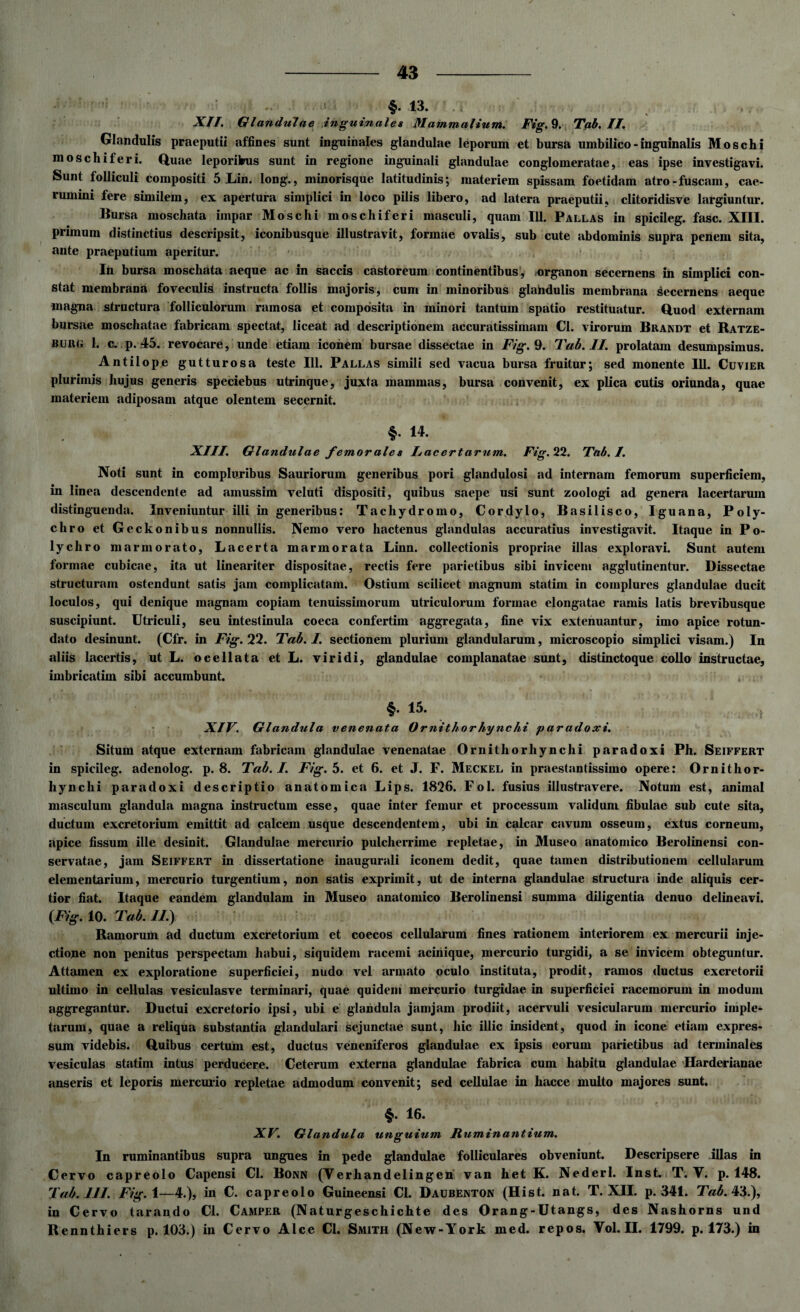 : «■ *• 13.  ^ XII. Glandulae inguinales Mammalium. Fis. 9. Tai. II. o O Glandulis praeputii affines sunt inguinales glandulae leporum et bursa umbilico - inguinalis Moschi moschiferi. Quae leporibus sunt in regione inguinali glandulae conglomeratae, eas ipse investigavi. Sunt folliculi compositi 5 Lin. long., minorisque latitudinis; materiem spissam foetidam atro-fuscam, cae- rumini fere similem, ex apertura simplici in loco pilis libero, ad latera praeputii, clitoridisve largiuntur. Bursa moschata impar Moschi moschiferi masculi, quam 111. Pallas in spicileg. fasc. XIII. primum distinctius descripsit, iconibusque illustravit, formae ovalis, sub cute abdominis supra penem sita, ante praeputium aperitur. In bursa moschata aeque ac in saccis castoreum continentibus, «organon secernens in simplici con¬ stat membrana foveculis instructa follis majoris, cum in minoribus glandulis membrana secernens aeque magna structura folliculorum ramosa et composita in minori tantum spatio restituatur. Quod externam bursae moschatae fabricam spectat, liceat ad descriptionem accuratissimam Cl. virorum Brandt et Ratze- burg 1. c. p. .45. revocare, unde etiam iconem bursae dissectae in Fig. 9. Tab. II. prolatam desumpsimus. Antilope gutturosa teste 111. Pallas simili sed vacua bursa fruitur; sed monente III. Cuvier plurimis hujus generis speciebus utrinque, juxta mammas, bursa convenit, ex plica cutis oriunda, quae materiem adiposam atque olentem secernit. §. 14. XIII. Glandulae femorales lacertarum. Fig. 22. Tab. I. Noti sunt in compluribus Sauriorum generibus pori glandulosi ad internam femorum superficiem, in linea descendente ad amussim veluti dispositi, quibus saepe usi sunt zoologi ad genera lacertarum distinguenda. Inveniuntur illi in generibus: Tachydromo, Cordylo, Basilisco, Iguana, Poly- chro et Geckonibus nonnullis. Nemo vero hactenus glandulas accuratius investigavit. Itaque in Po- lychro marmorato, Lacerta marmorata Linn. collectionis propriae illas exploravi. Sunt autem formae cubicae, ita ut lineariter dispositae, rectis fere parietibus sibi invicem agglutinentur. Dissectae structuram ostendunt satis jam complicatam. Ostium scilicet magnum statim in complures glandulae ducit loculos, qui denique magnam copiam tenuissimorum utriculorum formae elongatae ramis latis brevibusque suscipiunt. Utriculi, seu intestinula coeca confertim aggregata, fine vix extenuantur, imo apice rotun¬ dato desinunt. (Cfr. in Fig. 22. Tab. I. sectionem plurium glandularum, microscopio simplici visam.) In aliis lacertis, ut L. ocellata et L. viridi, glandulae complanatae sunt, distinctoque collo instructae, imbricatim sibi accumbunt. , §■ 15. XIV. Glandula venenata Ornithorhynchi paradoxi. Situm atque externam fabricam glandulae venenatae Ornithor hynchi paradoxi Ph. Seiffert in spicileg. adenolog. p. 8. Tab. I. Fig. 5. et 6. et J. F. Meckel in praestantissimo opere: Ornithor- hynchi paradoxi descriptio anatomica Lips. 1826. Fol. fusius illustravere. Notum est, animal masculum glandula magna instructum esse, quae inter femur et processum validum fibulae sub cute sita, ductum excretorium emittit ad calcem usque descendentem, ubi in calcar cavum osseum, extus corneum, apice fissum ille desinit. Glandulae mercurio pulcherrime repletae, in Museo anatomico Berolinensi con¬ servatae, jam Seiffert in dissertatione inaugurali iconem dedit, quae tamen distributionem cellularum elementarium, mercurio turgentium, non satis exprimit, ut de interna glandulae structura inde aliquis cer¬ tior fiat. Itaque eandem glandulam in Museo anatomico Berolinensi summa diligentia denuo delineavi. (Fig. 10. Tab. II.) Ramorum ad ductum excretorium et coecos cellularum fines rationem interiorem ex mercurii inje¬ ctione non penitus perspectam habui, siquidem racemi aciriique, mercurio turgidi, a se invicem obteguntur. Attamen ex exploratione superficiei, nudo vel armato oculo instituta, prodit, ramos ductus excretorii ultimo in cellulas vesiculasve terminari, quae quidem mercurio turgidae in superficiei racemorum in modum aggregantur. Ductui excretorio ipsi, ubi e glandula jamjam prodiit, acervuli vesicularum mercurio imple¬ tarum, quae a reliqua substantia glandulari sejunctae sunt, hic illic insident, quod in icone etiam expres¬ sum videbis. Quibus certum est, ductus veneniferos glandulae ex ipsis eorum parietibus ad terminales vesiculas statim intus perducere. Ceterum externa glandulae fabrica cum habitu glandulae Harderianae anseris et leporis mercurio repletae admodum convenit; sed cellulae in hacce multo majores sunt. §. 16. XV. Glandula unguium Ruminantium. In ruminantibus supra ungues in pede glandulae folliculares obveniunt. Descripsere illas in Cervo capreolo Capensi Cl. Bonn (Verhandelingen van het K. Nederl. Inst. T. V. p. 148. Tab. 111. Fig. 1—4.), in C. capreolo Guineensi Cl. Daubenton (Hist. nat. T. XII. p. 341. Tab. 43.), in Cervo tarando Cl. Camper (Naturgeschichte des Orang-Utangs, des Nashorns und Rennthiers p. 103.) in Cervo Alce Cl. Smith (New-York med. repos. Yol. II. 1799. p. 173.) in