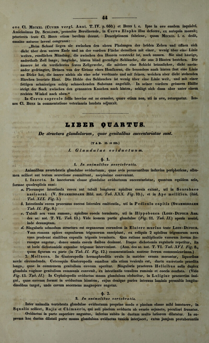 ove CI. Meckel (Cuvier vergi. Anat. T. IV. p. 660.) et Bonn 1. c. Ipse in ove easdem inquisivi. Amicissimus Dr. Schlemm, prosector Berolinensis, in Cervo Elapho illas deficere, ex autopsia monuit; praeterea teste Cl. Bonn etiam bovibus desunt. Descriptionem fabricae, quam Meckel 1. c. dedit, omnino naturae inveni congruam: „Beim Schaaf liegen sie zwischen den obern Phalangen der beiden Zehen und offnen sich dicht uber dem untern Ende und an der vordern Flache derselben mit einer, wenig uber eine Linie weiten, rundlichen Mtindung, die zwischen den Haaren versteckt ist, nach aussen. Sie sind hautige, anderthalb Zoll lange, langliche, hinten blind geendigte Schlauche, die aus 3 Hauten bestehen. Die aussere ist ein verdichtetes festes Zellgewebe, die mittlere eine Schicht braunlicher, dicht anein- ander gedrangter, Drusen von der Grosse eines Hanfkorns, die besonders nach hinten fast eine Linie an Dicke hat, die innere nichts ais eine sehr verdunnte und mit feinen, weichen aber dicht stehenden Harchen besetzte Haut. Die Hohle des Schlauches ist wenig uber eine Linie weit, und mit einer fettigen schmierigen salzig schmeckenden Substanz angefullt. In seiner vordern grossern Halfte steigt der Sack zwischen den genannten Knochen nach hinten, schlagt sich dann aber unter einem rechten Winkel nach oben.“ In Cervo capreolo follis brevior est ac crassior, quare etiam non, uti in ove, retorquetur. Ico¬ nes Cl. Bonn in commentatione veterinaria laudata adjunxit. LIBER QUARTUS. De structura glandularum, quae genitalibus succenturiatae sunt. (T A B. II. et III.) • * ..... «I,- ,, • • ' * 1 * I. Glandulae oviductuum. *. i. > 1. In animalibus avertebratis. Animalibus avertebratis glandulae oviductuum, quae ovis permeantibus induvias periphericas, albu¬ men scilicet aut testam secretione committunt, saepissime conveniunt. 1. Insecta. In insectorum classe glandulae oviductuum succenturiatae, quantum equidem scio, formae quadruplicis sunt: a. Plerumque intestinula coeca aut tubuli longiores apicibus coecis extant, uti in Scarabaeo nasicorni. (V. Swammerdamm Bibi. nat. Tab. XXX. Fig. 10.), et in Ape mellifica, (ibid. Tab. XIX.Fig. 3.) b. Intestinula coeca processus coecos laterales emittentia, uti in Pediculo capitis (Swammerdamm Tab. II. Fig. 8.) c. Tubuli seu vasa ramosa, apicibus coecis terminata, uti in Hippobosca (Leon-Dufour Ann. des sc. nat. T. VI. Tab. 13.) Vide iconem partis glandulae (Fig. 11. Tab. II.) operis nostri, inde desumptam. d. Singularis admodum structura est organorum eorundem in E latere murino teste Leon-Dufour. Vasa ramosa apices capsularum trigonarum suscipiunt, ex reliquis 2 apicibus trigonorum nova vasa prodeunt similibus capsulis trigonis terminata. Qua ratione multiplicatio vasorum iterum ite- rumque augetur, donec omnia coecis finibus desinant. Itaque dichotomia regularis repetitur, ita ut locis dichotomicis capsulae trigonae interveniant. (Ann. des sc. nat. T. VI. Tab. XVI. Fig. 8., quam figuram ex parte (in Tab. II. Fig. 12.) commentationis nostrae iterum communicavimus.) 2. Mollusca. In Gasteropodis hermaphroditis ovula in matrice crassa morantur, liquoribus novis circumdanda. Ceteroquin Gasteropodis omnibus alia etiam vesicula est, ductu excretorio praedita longo, quae in communem genitalium caveam aperitur. Singularis praeterea Helicibus solis duplex glandula vaginae genitalium communis convenit, ex intestinulis tenuibus ramosis et coecis conflata. (Vide Fig. 13. Tab. II.) In Cephalopodis oviductus massa glandulosa obducitur, in Loligine praesertim insi¬ gni, quae caveam format in oviductum hiantem, cujus denique paries internus laminis permultis longitu¬ dinalibus turget, unde cavum secernens magnopere augetur. *. 2. 2. In animalibus vertebratis. Inter animalia vertebrata glandulae oviductuum propriae modo e piscium classe mihi innotuere, in Squalis scilicet, Rajis et Chimaeris, qui soli piscium oviductu ab ovario sejuncto, peculiari fruuntur. Oviductus in parte superiore angustus, inferius subito in ductum multo latiorem dilatatur. In su¬ prema hac ductus dilatati parte massa glandulosa oviductus tunicis interjacet, extus jamjam protuberandis