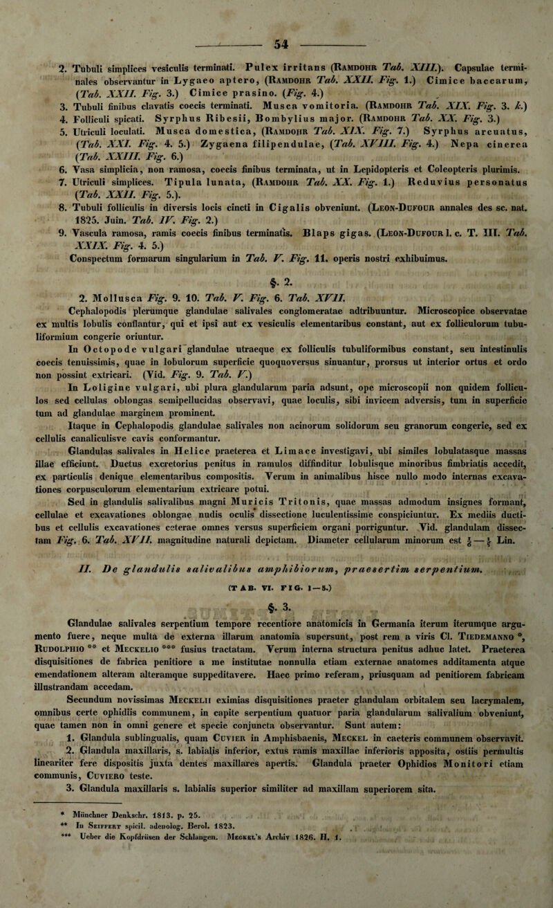 2. Tubuli simplices vesiculis terminati. Pulex irritans (Ramdohr Tab. XIII.). Capsulae termi¬ nales observantur in Lygaeo aptero, (Ramdohr Tab. XXII. Fig. 1.) Cimice baccarum, (Tab. XXII. Fig. 3.) Cimice prasino. (Fig. 4.) 3. Tubuli finibus clavatis coecis terminati. Musca vomitoria. (Ramdohr Tab. XIX. Fig. 3. /c.) 4. Folliculi spicati. Syrplius Ribesii, Bombylius major. (Ramdohr Tab. XX. Fig. 3.) 5. Utriculi loculati. Musca domestica, (Ramdohr Tab. XIX. Fig. 7.) Syrplius arcuatus, (Tab. XXI. Fig. 4. 5.) Zygaena filipendulae, (Tab. XVIII. Fig. 4.) Nepa cinerea (Tab. XXIII. Fig. 6.) 6. Vasa simplicia, non ramosa, coecis finibus terminata, ut in Lepidopteris et Coleopteris plurimis. 7. Utriculi simplices. Tipula lunata, (Ramdohr Tab. XX. Fig. 1.) Reduvius personatus (Tab. XXII. Fig. 5.). 8. Tubuli folliculis in diversis locis cincti in Cigalis obveniunt. (Leon-Dufour annales des sc. nat. 1825. Juin. Tab. IV. Fig. 2.) 9. Vascula ramosa, ramis coecis finibus terminatis. Blaps gigas. (Leon-Dufour 1. c. T. IIT. Tab. XXIX. Fig. 4. 5.) Conspectum formarum singularium in Tab. V. Fig. 11. operis nostri exhibuimus. *. 2. 2. Mollusca Fig. 9. 10. Tab. V. Fig. 6. Tab. XVII. Cephalopodis plerumque glandulae salivales conglomeratae adtribuuntur. Microscopice observatae ex multis lobulis conflantur, qui et ipsi aut ex vesiculis elementaribus constant, aut ex folliculorum tubu- liformium congerie oriuntur. In Octopode vulgari glandulae utraeque ex folliculis tubuliformibus constant, seu intestinulis coecis tenuissimis, quae in lobulorum superficie quoquoversus sinuantur, prorsus ut interior ortus et ordo non possint extricari. (Vid. Fig. 9. Tab. V.) In Loligine vulgari, ubi plura glandularum paria adsunt, ope microscopii non quidem follicu¬ los sed cellulas oblongas semipellucidas observavi, quae loculis, sibi invicem adversis, tum in superficie tum ad glandulae marginem prominent. Itaque in Cephalopodis glandulae salivales non acinorum solidorum seu granorum congerie, sed ex cellulis canaliculisve cavis conformantur. Glandulas salivales in Helice praeterea et Limace investigavi, ubi similes lobulatasque massas illae efficiunt. Ductus excretorius penitus in ramulos diffinditur lobulisque minoribus fimbriatis accedit, ex particulis denique elementaribus compositis. Verum in animalibus hisce nullo modo internas excava¬ tiones corpusculorum elementarium extricare potui. Sed in glandulis salivalibus magni Muricis Tritonis, quae massas admodum insignes formant, cellulae et excavationes oblongae nudis oculis dissectione luculentissime conspiciuntur. Ex mediis ducti¬ bus et cellulis excavationes ceterae omnes versus superficiem organi porriguntur. Vid. glandulam dissec¬ tam Fig. 6. Tab. XVII. magnitudine naturali depictam. Diameter cellularum minorum est g— Lin. II. De glandulis salivalibus amphibiorum, praesertim serpentium. (TAB. vi. riG. 1 — 5.) *. 3. . .c , ■ 'i Glandulae salivales serpentium tempore recentiore anatomicis in Germania iterum iterumque argu¬ mento fuere, neque multa de externa illarum anatomia supersunt, post rem a viris Cl. Tiedemanno % Rudolphio * ** et Meckelio *** fusius tractatam. Verum interna structura penitus adhuc latet. Praeterea disquisitiones de fabrica penitiore a me institutae nonnulla etiam externae anatomes additamenta atque emendationem alteram alteramque suppeditavere. Haec primo referam, priusquam ad penitiorem fabricam illustrandam accedam. 1 Secundum novissimas Meckelii eximias disquisitiones praeter glandulam orbitalem seu lacrymalem, omnibus certe ophidiis communem, in capite serpentium quatuor paria glandularum salivalium obveniunt, quae tamen non in omni genere et specie conjuncta observantur. Sunt autem: 1. Glandula sublingualis, quam Cuvier in Amphisbaenis, Meckel in caeteris communem observavit. 2. Glandula maxillaris, s. labialis inferior, extus ramis maxillae inferioris apposita, ostiis permultis lineariter fere dispositis juxta dentes maxillares apertis. Glandula praeter Ophidios Monitori etiam communis, Cuviero teste. 3. Glandula maxillaris s. labialis superior similiter ad maxillam superiorem sita. * Miiucliner Denksclir. 1813. p. 25. ** In Seiffert spicii, adenolog. Berol. 1823. *** Ueber die Kopfdriisen der Schlangen. Meckel\s Arckiv 1826. H. 1.