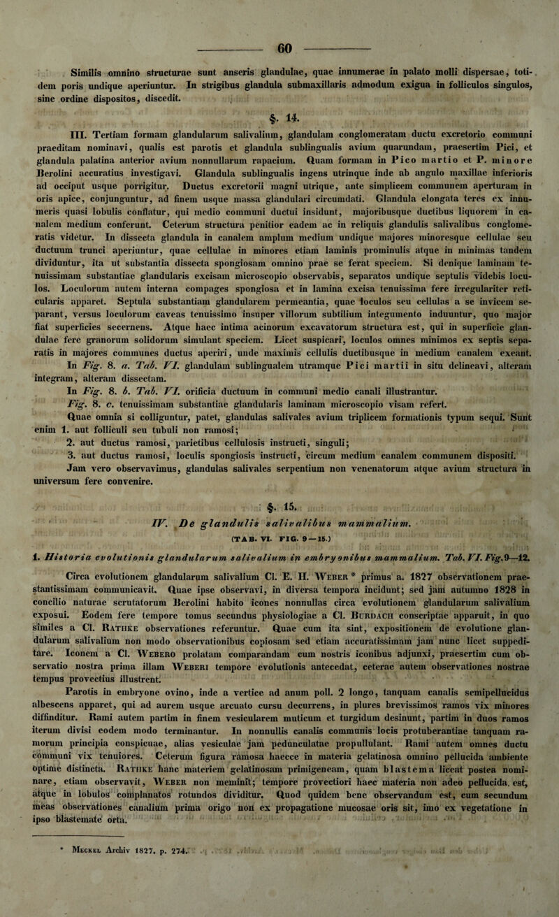 Similis omnino structurae sunt anseris glandulae, quae innumerae in palato molli dispersae, toti¬ dem poris undique aperiuntur. In strigibus glandula submaxillaris admodum exigua in folliculos singulos, sine ordine dispositos, discedit. §. 14. III. Tertiam formam glandularum salivalium, glandulam conglomeratam ductu excretorio communi praeditam nominavi, qualis est parotis et glandula sublingualis avium quarundam, praesertim Pici, et glandula palatina anterior avium nonnullarum rapacium. Quam formam in Pico martio et P. minore Berolini accuratius investigavi. Glandula sublingualis ingens utrinque inde ab angulo maxillae inferioris ad occiput usque porrigitur. Ductus excretorii magni utrique, ante simplicem communem aperturam in oris apice, conjunguntur, ad finem usque massa glandulari circumdati. Glandula elongata teres ex innu¬ meris quasi lobulis conflatur, qui medio communi ductui insidunt, majoribusque ductibus liquorem in ca¬ nalem medium conferunt. Ceterum structura penitior eadem ac in reliquis glandulis salivalibus conglome¬ ratis videtur. In dissecta glandula in canalem amplum medium undique majores minoresque cellulae seu ductuum trunci aperiuntur, quae cellulae in minores etiam laminis prominulis atque in minimas tandem dividuntur, ita ut substantia dissecta spongiosam omnino prae se ferat speciem. Si denique laminam te¬ nuissimam substantiae glandularis excisam microscopio observabis, separatos undique septulis videbis locu¬ los. Loculorum autem interna compages spongiosa et in lamina excisa tenuissima fere irregulariter reti¬ cularis apparet. Septula substantiam glandularem permeantia, quae loculos seu cellulas a se invicem se¬ parant, versus loculorum caveas tenuissimo insuper villorum subtilium integumento induuntur, quo major fiat superficies secernens. Atque haec intima acinorum excavatorum structura est, qui in superficie glan¬ dulae fere granorum solidorum simulant speciem. Licet suspicari, loculos omnes minimos ex septis sepa¬ ratis in majores communes ductus aperiri, unde maximis cellulis ductibusque in medium canalem exeant. In Fig. 8. a. Tab. VI. glandulam sublingualem utrarnque Pici martii in situ delineavi, alteram integram, alteram dissectam. In Fig. 8. b. Tab. VI. orificia ductuum in communi medio canali illustrantur. Fig. 8. c. tenuissimam substantiae glandularis laminam microscopio visam refert. Quae omnia si colliguntur, patet, glandulas salivales avium triplicem formationis typum sequi. Sunt enim 1. aut folliculi seu tubuli non ramosi; 2. aut ductus ramosi, parietibus cellulosis instructi, singuli; 3. aut ductus ramosi, loculis spongiosis instructi, circum medium canalem communem dispositi. Jam vero observavimus, glandulas salivales serpentium non venenatorum atque avium structura in universum fere convenire. : 15. IV. De glandulis salivalibus mammalium. (TAB. VI. FIG. 9 —15.) 1. Hi storia evolutionis glandularum salivalium in embry onibus mammalium. Tab. VI. Fig.9—12. Circa evolutionem glandularum salivalium Cl. E. H. Weber * primus a. 1827 observationem prae- stantissimam communicavit. Quae ipse observavi, in diversa tempora incidunt; sed jani autumno 1828 in concilio naturae scrutatorum Berolini habito icones nonnullas circa evolutionem glandularum salivalium exposui. Eodem fere tempore tomus secundus physiologiae a Cl. Burdach conscriptae apparuit, in quo similes a Cl. Ratiike observationes referuntur. Quae cum ita sint, expositionem de evolutione glan¬ dularum salivalium non modo observationibus copiosam sed etiam accuratissimam jam nunc licet suppedi¬ tare. Iconem a Cl. Webero prolatam comparandam cum nostris iconibus adjunxi, praesertim cum ob¬ servatio nostra prima illam Weberi tempore evolutionis antecedat, ceterae autem observationes nostrae tempus provectius illustrent. Parotis in embryone ovino, inde a vertice ad anum poli. 2 longo, tanquam canalis semipellucidus albescens apparet, qui ad aurem usque arcuato cursu decurrens, in plures brevissimos ramos vix minores diffinditur. Rami autem partim in finem vesicularem muticum et turgidum desinunt, partiin in duos ramos iterum divisi eodem modo terminantur. In nonnullis canalis communis locis protuberantiae tanquam ra¬ morum principia conspicuae, alias vesiculae jam pedunculatae propullulant. Rami autem omnes ductu communi vix tenuiores. Ceterum figura ramosa liaecce in materia gelatinosa omnino pellucida ambiente Optime distincta. Ratiike hanc materiem gelatinosam primigeneam, quam blastem a liceat postea nomi¬ nare, etiam observavit, Weber non meminit; tempore provectiori haec materia non adeo pellucida, est, atque in lobulos complanatos rotundos dividitur. Quod quidem bene observandum est, cum secundum meas observationes canalium prima origo non ex propagatione mucosae oris sit, imo ex vegetatione in ipso blastemate orta. * Meckel Archiv 1827. p. 274.