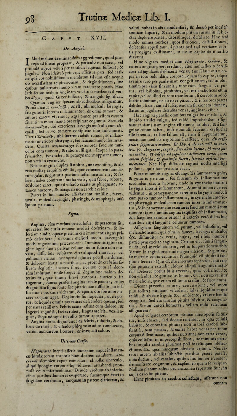 C a r u x XVII. De An £ ini. o ITJudl malam examinandam aggredimur , quod pri- ceps ad finem properat, Sc periculo non caret, vel proinde igros velati per canificis laqueum fuifocat,& jugulat. Non idcirco princeps afficitur pars, fed ea fi¬ ne qua cor nobiliffimum membrum (alvum elTe nequit ob necelfariam refpirationem , Sc deglutitionem , line quibus nullatenus homo vitam traducere poteft. Hoc lethifetum malum Anginam vocarunt medentes a ver¬ bo*.^, quod Grice fuffoco, &ftrangulo fignificat. Quatuor sngim Ipecies ab authoribus affignantur. Prima dicitur yW/%©- > &eft, ubi mufculi laryngis, feu eructuris interni n.Hammantur, Sc omni rumore , Sc rubore carere videntur , segei tamen per iftum canum fidentium more hiante ore refpirare coguntur. Secunda wotpeMvvclfx*i , ubi exteriores laryngis mufculis cum ali- quali, fed parvo tumore confpicuo funt inflammati. Tertia xJvock(&, ubi internus adeft tumor , & inflam¬ matio interiores pharyngis, feu faucium mufculos inva¬ dens. Quarta izroipoixvvoif%yi fi exteriores faucium muf¬ culos cum tumore , Sc ruboie affligat. Itaque in para- fynanehe, fynanche , Sc paracynanche apparet tumor, non vero in cynanche. Rurfus angina duplex ftatuitur , una exquifita, 8c al¬ tera notha ; exquifita eft illa , quae vehementem fumma- rum gulse, & gutturis partium inflammationem , Sc fe¬ brem habet comitem ; notha vero , quae febre, rubore, & dolore caret, quia a vifeido excitatur phlegmate, at¬ tamen horrore, & inaequali non carebit calore. Partes in hoc morbo atfe&i funt tonfilli , faves, uvula, mufculi laryngis, pharingis, & cefophagi, imo iplum palatum. Stona. o Angina, cum morbus periculofus , Sc peracutus fit, qui celeri fuo curfu omnem medici dodrinam, Sc fo- Jertiam eludit, operae pretium erit imminentis figna pri¬ mo deferibere , ut omni meliori modo pncogniti morbi augmentum praecaveatur ; Imminentis igitur an- ginte figna funt: patiens collum more (olito non mo¬ vere , difficilius refpirare citra aliquod thoracis , vel pulmonis vitium > nec apte deglutire poteft. ardorem, Sc dolorem fentir in faucibus, ac proinde crebrius fa- livam deglutit > fperans fimul noxium cum ea deor¬ sum lapfurum , unde frequenti cleglutione malum de¬ terius fit, qui omnia brevi temporis curriculo ita augentur, donec praefens angina jam fe pandat, cujus diagnoftica figna funt: Refpiratio tam difficilis, ut fuf- focationi proxima videatur, & aperto ore fpiritum du¬ cere cogatur arger. Deglutitio tic impedita , ut ne po¬ tus , Sc liquida omnia per fauces defeendere queant, fed per nares refiliant. Febris acuta iftuat cum dolore , Sc ingenti anguftia, facies rubet, lingua arefeit, vox lan¬ guet , &qumdoque in collo tumor apparet. Angina notha dignofeitur ex febris , ruboris, & do¬ loris carentia , & vifeido phlegmate ad os confluente, verum non carebit horrore , & inaequali calore. XJeterum Caufie. * H'ppocrates inepte afferit humanum caput inftar cu¬ curbitulae totam corporis humiduatem attrahere. Avi- cennas alembico caput comparat; alij olli operculo; aliqui fpongiae corporis hu^idstatem attrahenti ; non¬ nulli coelo microcofmtco. Deinde credunt ab inferio¬ ribus partibus humores evaporare, fursumque ferri in frigidum cerebrum, tanquam in partem clariorem, Sc veluti nubes in aere condenfari, & denuo per incalef' centiam liquari, Sc in modum pluviae rursus in fubje- das depluere panes , deorsumque. deftillare. Hoc fere modo omnes morbos , quos fixiones, deftill .tiones, defcenfus appellitant , a planta pedis ad verticem capi¬ tis progigni exiftimant , ut fusius capite de cuarrho diximus. Hinc vlgares medici cum Hippocrate , Galero , Sc citeris anginam fieri credunt , cum multa flyx o & vif- cosa ad jugulares defluxerit venas, tam fi Immotum co¬ pia in toto redundant corpore, quam in capite,idque evenire rato per paulatinam congeftionem , fed uc plu¬ rimum per viam fluxionis , tunc cum (anguis ve! pu¬ rus , vel biliofus, pituitolus, vel melancholicus eft in capite,vel ad illud ex toto transfertur, fi cerebrum adeo fuerit robuftum, ut ab eo refpuacur , & inferiores partes debiles , laxae , aut ad fufeipiendam fluxionem idonei, ftatim in jugulares detrufus venas , anginam efficit. Haec anginae genefis omnibus vulgaribus medicis, Sc ftupido arridet vulgo , fed valde improbabilem a dig¬ nant caufam; nam angina eft tumor calidus, & a (an¬ guine ortum habet, imo nonnulli faucium eryfipelas efle fatentur, at hoc falfum eft , nam fi fuppuraretur , maximum medico negotium facefleret, quia Ab eryfi- pe lati? fiuppuratio malum. Et Htp. 4. de rat. vift.tn acue* tex. 30. Anginam , inquit, fieri dum hyeme , S5 verefla¬ to io multa , & vifcoja ad jugulares defluxerit venas , cum autem frigida , fe glutinoja fuerit, fptritus elfiruit ver- meattones. Nec Hip. dida de angina notha intelligi poflunt, quia haec periculo vacat. Praeterea omnis angina eft anguftia fummarum gulae, Sc gutturis pettium , feu faucium ab inflammatione eatumdem ortum habens, unde in cynanche mufculi laryngis interni inflammantur , Sc omni tumore carere videntur, in paracynanche exteriores laryngis mufculi cum parvo tumore inflammantur, in cynanche interio¬ res pharyngis mufculi cum tumore interno inflamman¬ tur ,Sc in paracynanche exteriores faucium mufculi cum tumore: igituc omnis angina exquifita eft inflammatio, & a fanguine tantum oritur; a citeris vero didis hu¬ moribus alij a fanguine oriunrur tumores. Affignanc fltnguinem vel purum , vel biliofum, vel melancholicum, qui ciim in fauces, laryngis mufculos Scc. diffunditur ex venis, hujus, vel illius humoris participem excitat anginam. Cei tum eft, cum a {angui¬ ne fit, vel in refolutionem, vel in fuppurarionem abit; Verum in angina perpetuo magna vifcidi, Sc giurino- fi materia: copia expuitur : Numquid eft pituita d fan¬ guine fecreta ? Quis eft ifte internus (eparator , qui tan¬ tum pituitam extrudit abfque aliqua tauguinis trndu-' ra? Deberet potius bilis excerni, quia volatilior , Sc non vifeidus, Sc glutinofus humor. Cur non excernitur melancholia, qui etiam eft hmor craffus, & faeculentus. Dicunt praecello calore , exercitatione, vel motu plus foiiro; pituitam vifeidam, folvi liquidioremque reddi, & ab aere frigido Scc. ambiente , vel ore iianfto coagulari. Sed cur tantum pituita folvitur, & coagula¬ tur , Sc non citeri humores , vellem mihi rationem affignarent? Apud vulgares cerebrum pituita: metropolis ftatui¬ tur, imo cloaca, fed docere tenentur, in qua cellula habitet, Sc cubet ifta pituita; non in tota cerebri fub- ftantia, nam paucas , & exiles hsbet venas per fuum corpus diffeminat3s; quibus nutritur ; non extra venas, quia colledio in imperceptibilibus , ac minimis parti¬ bus Angulis cerebri plurimas poft fe relinquet obftru- diones^&c. qui nunquam obviam veniunt. Nec ce¬ rebri arcem ab aliis fubje&is partibus perere poteft, quia dudus , vel canales, quibus hic humor tranatur, demonftrare coguntur , Sc capfam in quam fe recipiat. Nullum planum adhuc per anatomen repertum fuit, in cujus cavo hoipiretur. Hanc pituitam in cerebro colle&ajn, aderunt non omnem