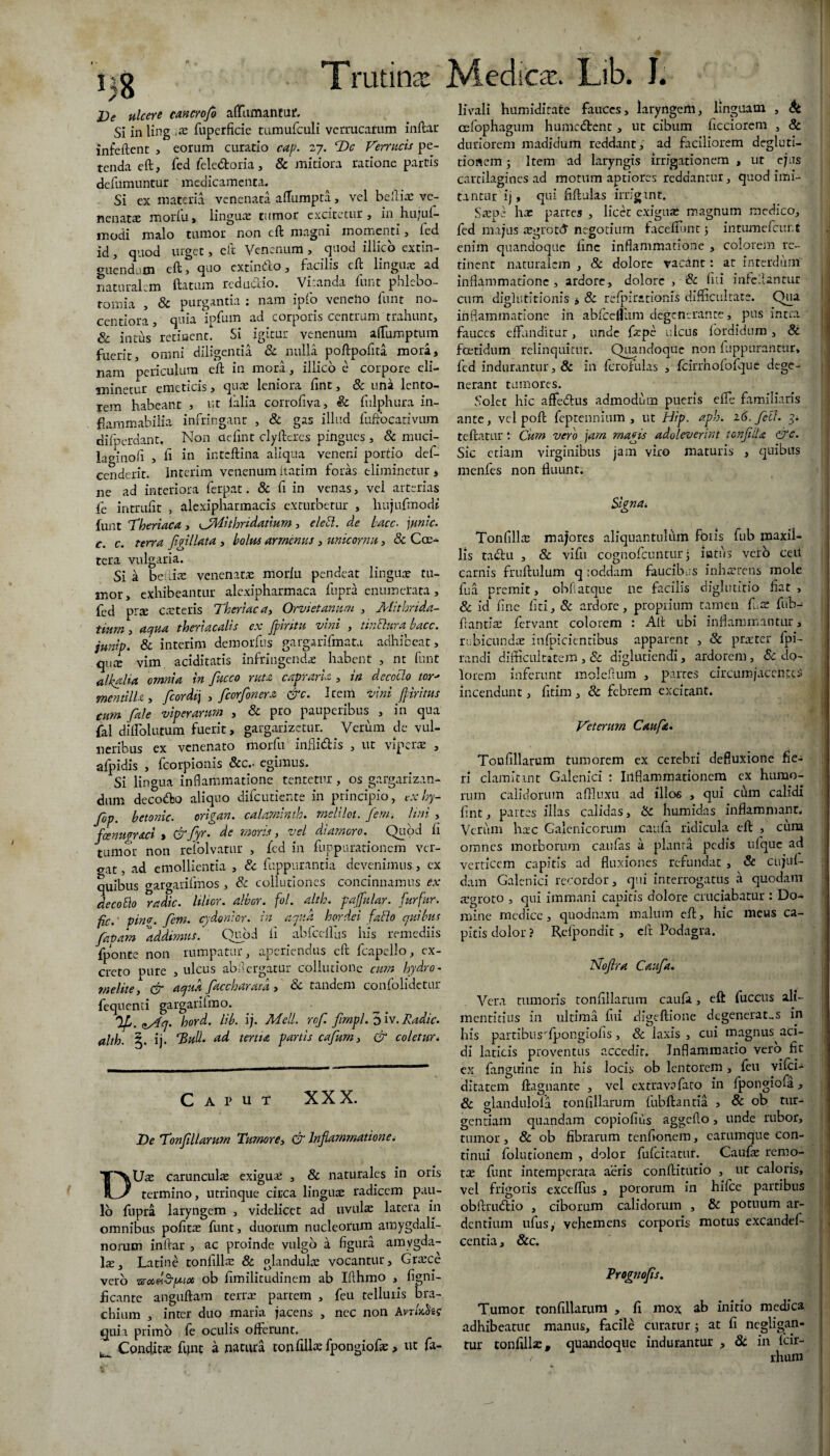 Trutina: i)8 De ulcere cancrofi afTumanturi Si in ling fupcrficie tumufculi verrucarum inftar infeftent , eorum curatio cap. 27. T>c Verrucis pe¬ tenda eft, fed fele&oria, & mitiora ratione partis dcfumuntur medicamenta. Si ex materia venenata allumpta, vel belli ac ve¬ nenatae morfu, linguae tumor excitetur, in hujuf- modi malo tumor non cft magni momenti, led id, quod urget, eft Venenum , quod illico extin- «niendum eft , quo extindlo, facilis cft linguae ad naturalem flatum redu&io. Vitanda funt phlebo¬ tomia , & purgantia : nam ipfo veneho funt no- centiora, quia ipfum ad corporis centrum trahunt, & intus recinent. Si igitur venenum afliunptum fuerit, omni diligentia & nulla poftpofita mora* nam periculum eft in mora, illico e corpore eli¬ minetur emeticis, quae leniora ftnt, & una lento¬ rem habeant , ut ftalia corrofiva, Sc fulphura in- flammabilia infringant , & gas illud fuftocativum difperdant. Non aefint clyftcrcs pingues , & muci- laginoli , fi in inteftina aliqua veneni portio def- cenderit. lnterim venenum flarim foras eliminetur , ne ad interiora ferpat. & fi in venas, vel arterias ie intruftt , alexipharmacis exturbetur , hujufmod* funt Theriaca , ^yWthndatmm, eletl. de bacc. junic. c. c. terra fini lata , bolus arrnemis , unicornu, & Cae- tera vulgaria. Si a bellice venenatas moriu pendeat linguas tu¬ mor, exhibeantur alcxipharmaca fupra enumerata, fed prae c arteris Theriaca, Orvietanum , Mithrida- tiitrn, aqua theriacalis ex fipintu vini , tinBura bacc. jmiv. & interim demorfus gargarifmata adhibeat, qux vim aciditatis infringendi habent , nt funt alkalia omnia in fiucco mu capraria , in decocto tor- mentilh, fcordij , ficorfionera &c. Item vini f irinis cum /ale viperarum , & pro pauperibus , in qua fai dilfolutum fuerit, gargarizetur. . Verum dc vul¬ neribus ex venenato morfu infidis , ut viperae , afpidis , fcorpionis &c.« egimus. Si lingua inflammatione tentetur, os gargarizan¬ dum decodo aliquo difeutiente in principio, exby- fop. betonic. origan. calaminth. melilot. /em. lini , fcenugraci > &fiy/- de moris., vel diamoro. Quod li tumor non refolvatur , fed in fuppnrationem ver¬ gat , ad emollientia , & fuppurantia devenimus, cx quibus gargarifmos, & collutiones concinnamus ex de cobio radie. Ultor, albor, fol. alth. pajfnlar. furfur, fic.' pin<r. fiem. cydonior. in apua hordei fablo quibus fatam addimus.' Quod li abfcdliis his remediis fponte non rumpatur, aperiendus eft fcapello, ex¬ creto pure , ulcus abllergatur collutione cum hydro - melite, cfr aqua faccharata > ee tandem conlohdctur fequenti gargarifrao. Ifi. zy4q. hord. lib. ij. Meli. rofi. firnpl. 5 iv. Radie, alth. ij. Tuli. ad tertia panis cafium, & coletur. Caput XXX. De Tonfillarum Tumore, & Inflammatione. DUae carunculae exiguae , & naturales in oris termino, utrinque circa linguae radicem pau¬ lo fupra laryngem , videlicet aci uvulas latera in omnibus politae funt, duorum nucleorum amygdali¬ norum inftar , ac proinde vulgo a figura amygda¬ la , Latine tonfillae & glandula vocantur, Grace vero vsudSfMtx ob fimilitudinem ab Ifthmo , figni- jicante anguftam terra partem , feu telluris bra¬ chium , inter duo maria jacens , nec noli Avrhrilts quia primo fe oculis offerunt. Condita ftjnt a natura tonfillae fpongiofa, ut fa- Medica. Lib. J. hVali humiditate fauces, laryngem, linguam , oefophagum humedent, ut cibum ficciorem , 8c duriorem madidum reddant, ad faciliorem degluti¬ tionem ; Item ad laryngis irrigationem , ut ejus cartilagines ad motum aptiores reddantur, quod imi¬ tantur ij, qui fiftulas irrigant. Sape ha partes , licet exigua* magnum medico, fed majus agrottf negotium faccffimt 5 intumefeunt enim quandoque line inflammatione , colorem re¬ tinent naturalem , & dolore vacant: at interdum inflammatione , ardore, dolore , & hii infedantur cum diglutitionis , & refpirationis difficultate. Qua inflammatione in abiceillim degenerante, pus intra fauces effunditur, unde fxpe ulcus fordidum, & foetidum relinquitur. Quandoque non fuppurantur, fed indurantur, & in fcrofulas , fcirrhofofque dege¬ nerant tumores. Solet hic affe&us admodum pueris effe familiaris ante, vel poft feptennium , ut Hip. aph. 16. feti. 3* teftatur: Cum vero \arn magis adoleverint tonfiiU &c. Sic etiam virginibus jam viro maturis , quibus menfes non fluunt. Tonfillae majores aliquantulum foris fub maxii- lis tatftu , & vifu cognofcuntur j itttus verb ceit carnis fruftulum q loddam faucibus inhaerens mole fu a premit, obfi atque lie facilis diglutitio fiat , & id fine liti, & ardore, proprium tamen fua: fub- ftantiae fervant colorem : Aft ubi inflammantur, rubicundae infpicientibus apparent , & praeter fpi- randi difficultatem , & diglutiendi, ardorem, & do¬ lorem inferunt moleflum , partes circumjacentes incendunt, fitim , & febrem excitant. Veterum C au fit. Tonfillarum tumorem ex cerebri defluxione fie- i ri clamitant Galenici : Inflammationem ex humo¬ rum calidorum aftluxu ad illos , qui cum calidi fint, partes illas calidas, & humidas inflammant. Verum hac Galcnicorum caufa ridicula eft , cum omnes morborum caufas a planta pedis ufque ad verticem capitis ad fluxiones refundat , & cujuf- dam Galenici recordor, qui interrogatus a quodam aigroto , qui immani capitis dolore cruciabatur : Do¬ mine medice, quodnam malum cft, hic meus ca¬ pitis dolor ? Rctpondit , eft Podagra. bfoflra Caufa. Vera tumoris tonfillarum caufa, eft fuccus ali- mentitius in ultima fui digeftione degeneratas in his partibusrfpongiofis , 8c laxis , cui magnus aci¬ di laticis proventus accedit. Inflammatio vero fit ex fanguine in his locis ob lentorem, feu vifcL ditatem ftagnante , vel cxtravsfato in fpongioia, & glandulola tonfillarum fubftantia , & ob tur- gentiam quandam copiofins aggefio, unde rubor, tumor, & ob fibrarum tenfionem, earumque con¬ tinui folutionem , dolor fufeitatur. Caufae remo¬ ta: funt intemperata aeris conftitutio , ut caloris, vel frigoris exceffus , pororum in hifce partibus obftrubbio , ciborum calidorum , & potuum ar¬ dentium ufus, vehemens corporis motus excandef- centia, &c. Prognofs. Tumor tonfillarum , fi mox ab initio medica adhibeatur manus, facile curatur; at fi negligan- tur tonfillx, quandoque indurantur , 8c in fcir- / rhum