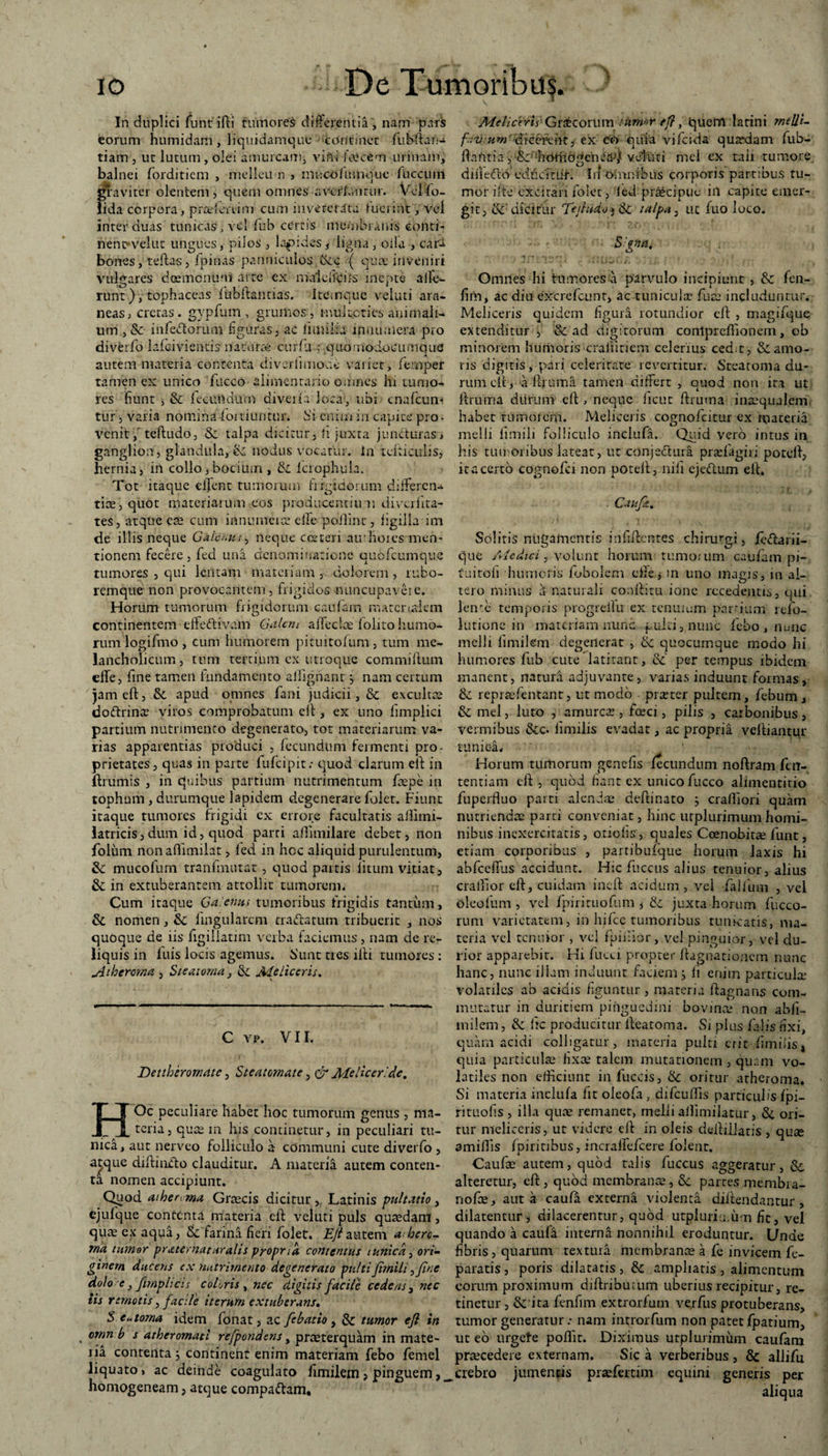 In duplici funt iRi tumores differentia', nam pars eorum humidam, liquidamque continet fubRan-i tiam , ut lutum, olei amurcam, vini ia?cem urinam, balnei forditicm , melleum > mucohimque Aiccuin graviter olentem, quem omnes avertantur. Velfo- lida corpora, praei-emm cum inveterata luerint, vel inter duas tunicas, vel fub certis membranis eonti- nent*velut ungues, pilos , lapides, ligna, oila , oar-i bones, teftas, Ipinas panniculos dcc ( qua: inveniri vulgares dcemcnum arte cx malelfCifs inepte alle<- runt), tophaceas fiubRantias. Itcmque veluti ara¬ neas, creras. gypfum , grumos, mulcor i es animali¬ um , & infe&orum figuras, ac limilia lnuuaiera pro divferfo lafcivientis riatufte curfu-; .quomodocumque autem materia contenta diveriimoa^ variet, fernper tamen ex unico fucco alimentario omnes hi tumo¬ res fiunt j & fecundum diveiia loca, ubi cnafcum tur, varia nomina foi riuntur. Si enim in capite pro - venit,' teftudo, & talpa dicitur, li juxta juncturas, ganglion, glandula, & nodus vocatur. In tefiiculis, hernia, in collo jbocium , Sl lcrophula. Tot itaque effient tumorum frrgidoriim diiferen- tice,quot materiarum cos producentium diveriita- tes, atque cce cum mnumcice elTe polline, figiila im de illis neque Galenus, neque cceteri atrhoics men¬ tionem fecere , fed una denominatione quofeumque tumores , qui lentam materiam , dolorem , rubo¬ remque non provocantem, frigidos nuncupavere. Horum tumorum frigidorum caufain ir,arenalem continentem effeCtivam Galcm affectae folito humo¬ rum logifmo , cum humorem pituitofum, tum me¬ lancholicum, tum tertium cx utroque commiftum effe, fine tamen fundamento aliignant j nam certum jam eft, &. apud omnes fani judicii, & exculta: doCtrinx viros comprobatum eR , ex uno fimplici partium nutrimento degenerato, tot materiarum va¬ rias apparentias produci , fecundum fermenti pro¬ prietates, quas in parte fufeipit.- quod clarum eR in ftrumis , in quibus partium nutrimentum fcepe in tophum , durumque lapidem degenerare folet. Fiunt itaque tumores frigidi cx errore facultatis aifirni- latricis, dum id, quod parri allimilare debet, non foliim nonaffimilat, led in hcc aliquid purulentum, & mucofum tranfmutat , quod partis litum vitiat, & in extuberantem attollit tumorem. Cum itaque Galenus tumoribus frigidis tantum, & nomen, & lingularem traClatum tribuerit , nos quoque de iis figiliatim verba faciemus, nam de re¬ liquis in luis locis agemus. Sunt tres illi tumores : Atheroma , Steatoma , & Meiiceris. C vp. VII. Dettheromatc, Steatomate, & Me liceri de. HOc peculiare habet hoc tumorum genus , ma¬ teria, quae m his continetur, in peculiari tu¬ nica, aut nerveo folliculo a communi cute diverfo , atque diffinito clauditur. A materia autem conten¬ ta nomen accipiunt. Quod aihemna Graecis dicitur, Latinis pultatio, cjufque contenta materia c-R veluti puls quaedam, qiuu cp aqua, & farina fieri folet. Ejlautem aiherc- rna tumor praternaturalis propria contentus t unica, ori- ginern ducens ex nutrimento degenerato pultiJirnili,fine dolo rc, [impii cis coloris , nec digitis facile cede as, nec iis remotis, facile iterum extuberans. S extorna idem fonat, ac febatio, & tumor efl in , omn b s atheromati refpondens, praeterquam in mate¬ ria contenta, continent enim materiam febo femel liquato , ac deinde coagulato fimilem > pinguem, honrogeneam, atque comparam. Melichris Grzcovum tumor efl, quem latini melli- fv/um dicerents ex eo quia vifeida qucvdam fub- RaUtia, honiogenea^/ veluti mei ex tali tumore diiieclo edddtur. In oSnnibus corporis partibus tu¬ mor ifte excitari folet, led praecipue iil capite emer¬ git, &' dicitur Tejludo i&c talpa 3 uc fuo loco. Omnes hi tumores a parvulo incipiunt , fen- fim, ac diu excrefcunt, ac tunicula: fute includuntur. Meiiceris quidem figura rotundior eR , magifque extenditur , & ad digitorum conlpreffionem, ob minorem humoris craiiitiem celerius ced t, & amo¬ ris digitis, pari celeritate revertitur. Steatoma du¬ rum eR > a limma tamen differt , quod non ira ut Rruma durum cR , neque ficut Rruina inaequal.em habet rumorem. Meiiceris cognofcitur ex materia melli fimili folliculo inclufa. Quid vero intus in his tuir:Oribus lateat, ut conjectura pratfagiri poteR, it a certo cognofci non poteR, nifi ejeftum eR. Caufa. Solitis nugamentis infiRentes chirurgi, jfedarii¬ que Aie dici, volunt horum tumoium caufam pi- tuirofi humoris fobolcm die j in uno magis, in al¬ tero minus a naturali conRitu ionc recedentis, qui lente temporis progrellu ex tenuium pardum refo- lutionc in materiam nunc pulti, nunc febo , nunc melli fimilem degenerat , & quocumque modo hi humores fub cute latitant, &' per tempus ibidem manent, natura adjuvante, varias induunt formas, & repraefentant, ut modo prteter pultem, febum, Sc mei, luto , amurca:, foeci, pilis , carbonibus, vermibus &c. limilis evadat, ac propria veftiantur tunk4. Horum tumorum genefis fecundum noRram fen- tentiam eR , quod fiant ex unico fucco alimentitio fuperfluo parti alendae deftinato j craRiori quam nutriendae parci conveniat, hinc urplurimumhomi¬ nibus inexercitatis, o.nofis, quales Coenobitae funt, etiam corporibus , partibufque horum laxis hi abfceffus accidunt. Hic fuccus alius tenuior, alius cralfior eR, cuidam ineR acidum, vel falfum , vel oleolum , vel fpirituofum * & juxta horum fucco- rum varietatem, in hjfce tumoribus tunicatis, ma¬ teria vel tenuior , vel fpinior, vel pinguior, vel du¬ rior apparebit. Hi fueei propter Ragnationcm nunc hanc, nunc illam induunt faciem j li enim particula: volatiles ab acidis figuntur , materia Ragnans com¬ mutatur in duritiem pinguedini bovince non abfi- milem, & Rc producitur Reatoma. Si plus falis nxi, quam acidi colligatur, materia pulti erit fimiSis, quia particula: fixa: talem mutationem , quam vo¬ latiles non efficiunt in fuccis, & oritur atheroma. Si materia inclufa fit oleofa, difcuffis particulis fpi- rituofis , illa qua: remaner, melli alfimilatur, &. ori¬ tur meiiceris, ut videre eR in oleis deRiilatis , quse amifiis fpirinbus, incraffefcere folent. Caufa: autem, quod talis fuccus aggeratur, &, alteretur, eR , quod membrana:, partes membra- nofte, aut a caufa externa violenta diRendantur, dilatentur, dilacerentur, quod utpluria.um fit, vel quando a caufa interna nonnihil eroduntur. Unde fibris, quarum textura membrana: a fe invicem fe- paratis, poris dilatatis, & ampliatis , alimentum eorum proximum diRributum uberius recipitur, re¬ tinetur , & ita fenfim extrorfum verfus protuberans, tumor generatur.- nam introrfum non patet fpatium, ut eo urgete poflit. Diximus utplurimum caufam praecedere externam. Sic a verberibus , & allifu crebro jumentis prsefertim equini generis per aliqua i