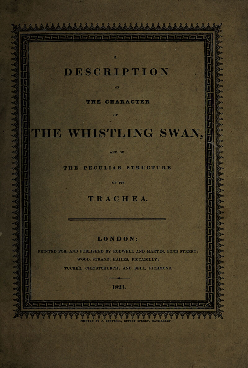 t;.rk. DESCRIPTION THE CHARACTER OF THE WHISTLING SWAN, AND OF OF ITS LONDON: PRINTED FOR, AND PUBLISHED BY RODWELL AND MARTIN, BOND STREET; WOOD, STRAND; HAILES, PICCADILLY; TUCKER, CHRISTCHURCH; AND BELL, RICHMOND. 1823. PRINTED BY J. BRETTELL, RUPERT STREET, HAYMARKET. f
