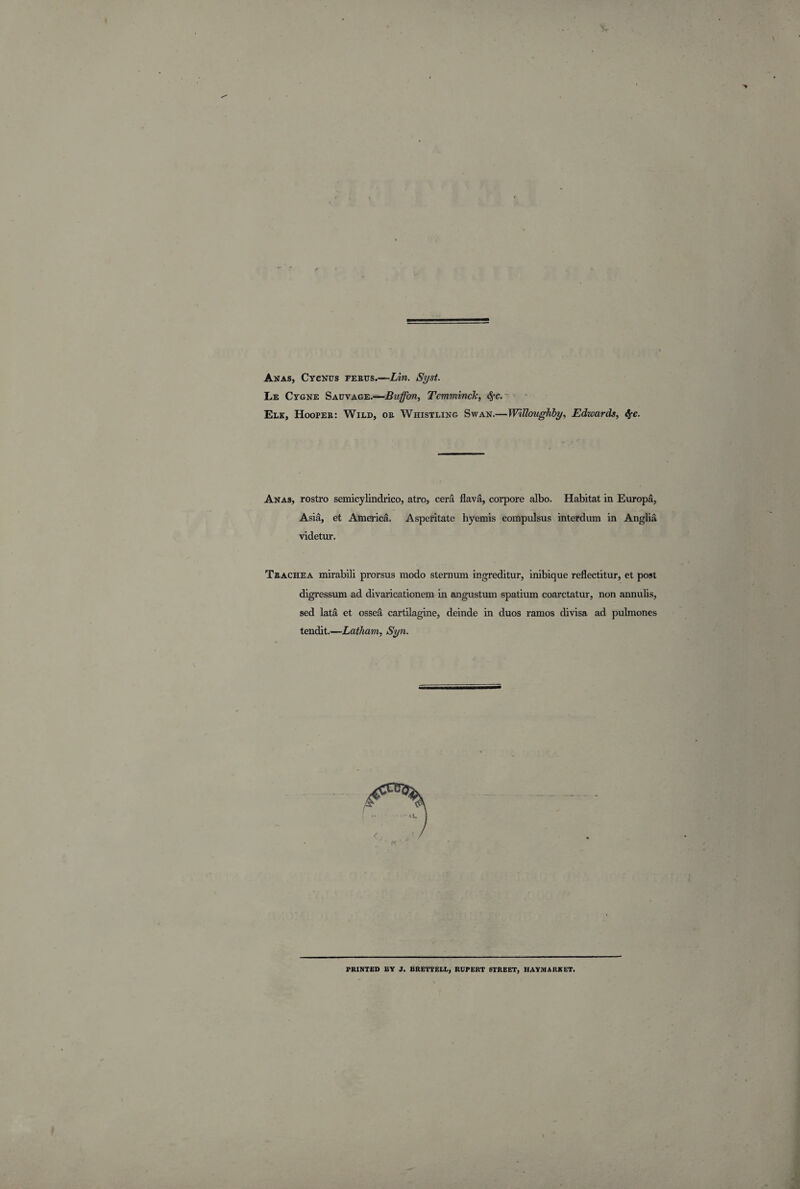 Anas, Cycnus ferus.—Lin. Syst. Le Cygne Sauvage.—Buffbn, Tcmminclc, fyc. Elk, Hooper: Wild, or Whistling Swan.—Willoughby, Edwards, fyc. Anas, rostro semicylindrico, atro, cera flava, corpore albo. Habitat in Europa, Asia, et America. Asperitate hyemis compulsus interdum in Anglia videtur. Trachea mirabili prorsus modo sternum ingreditur, inibique reflectitur, et post digressum ad divaricationem in angustum spatium coarctatur, non annubs, sed lata et ossea cartilagine, deinde in duos ramos divisa ad pulmones tendit.—Latham, Syn. PRINTED BY J. BRETTELE, RUPERT 6TREET, HAYMARKET.