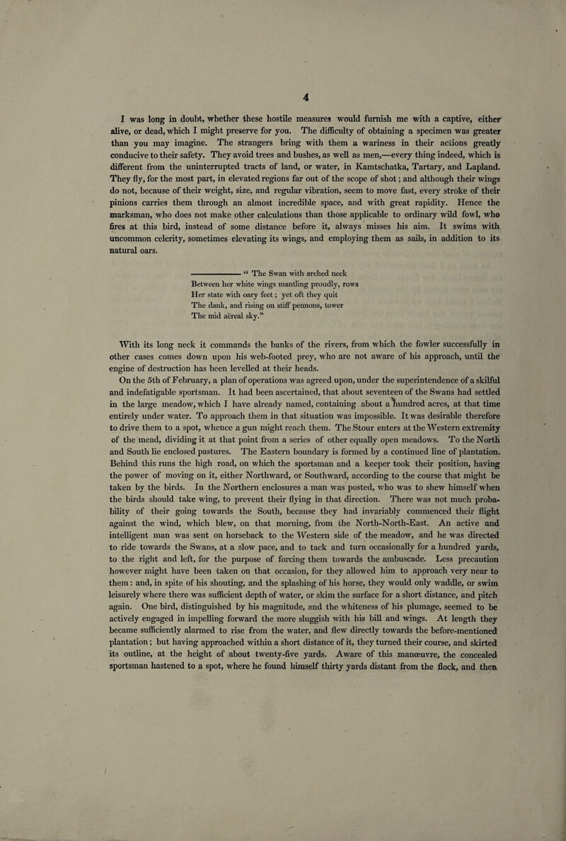I was long in doubt, whether these hostile measures would furnish me with a captive, either alive, or dead, which I might preserve for you. The difficulty of obtaining a specimen was greater than you may imagine. The strangers bring with them a wariness in their actions greatly conducive to their safety. They avoid trees and bushes, as well as men,—every thing indeed, which is different from the uninterrupted tracts of land, or water, in Kamtschatka, Tartary, and Lapland. They fly, for the most part, in elevated regions far out of the scope of shot; and although their wings do not, because of their weight, size, and regular vibration, seem to move fast, every stroke of their pinions carries them through an almost incredible space, and with great rapidity. Hence the marksman, who does not make other calculations than those applicable to ordinary wild fowl, who fires at this bird, instead of some distance before it, always misses his aim. It swims with uncommon celerity, sometimes elevating its wings, and employing them as sails, in addition to its natural oars. -“ The Swan with arched neck Between her white wings mantling proudly, rows Her state with oary feet; yet oft they quit The dank, and rising on stiff pennons, tower The mid aereal sky.” With its long neck it commands the banks of the rivers, from which the fowler successfully in other cases comes down upon his web-footed prey, who are not aware of his approach, until the engine of destruction has been levelled at their heads. On the 5th of February, a plan of operations was agreed upon, under the superintendence of a skilful and indefatigable sportsman. It had been ascertained, that about seventeen of the Swans had settled in the large meadow, which I have already named, containing about a ’hundred acres, at that time entirely under water. To approach them in that situation was impossible. It was desirable therefore to drive them to a spot, whence a gun might reach them. The Stour enters at the Western extremity of the mead, dividing it at that point from a series of other equally open meadows. To the North and South lie enclosed pastures. The Eastern boundary is formed by a continued line of plantation. Behind this runs the high road, on which the sportsman and a keeper took their position, having the power of moving on it, either Northward, or Southward, according to the course that might be taken by the birds. In the Northern enclosures a man was posted, who was to shew himself when the birds should take wing, to prevent their flying in that direction. There was not much proba¬ bility of their going towards the South, because they had invariably commenced their flight against the wind, which blew, on that morning, from the North-North-East. An active and intelligent man was sent on horseback to the Western side of the meadow, and he was directed to ride towards the Swans, at a slow pace, and to tack and turn occasionally for a hundred yards, to the right and left, for the purpose of forcing them towards the ambuscade. Less precaution however might have been taken on that occasion, for they allowed him to approach very near to them: and, in spite of his shouting, and the splashing of his horse, they would only waddle, or swim leisurely where there was sufficient depth of water, or skim the surface for a short distance, and pitch again. One bird, distinguished by his magnitude, and the whiteness of his plumage, seemed to be actively engaged in impelling forward the more sluggish with his bill and wings. At length they became sufficiently alarmed to rise from the water, and flew directly towards the before-mentioned plantation; but having approached within a short distance of it, they turned their course, and skirted its outline, at the height of about twenty-five yards. Aware of this manoeuvre, the concealed sportsman hastened to a spot, where he found himself thirty yards distant from the flock, and then.